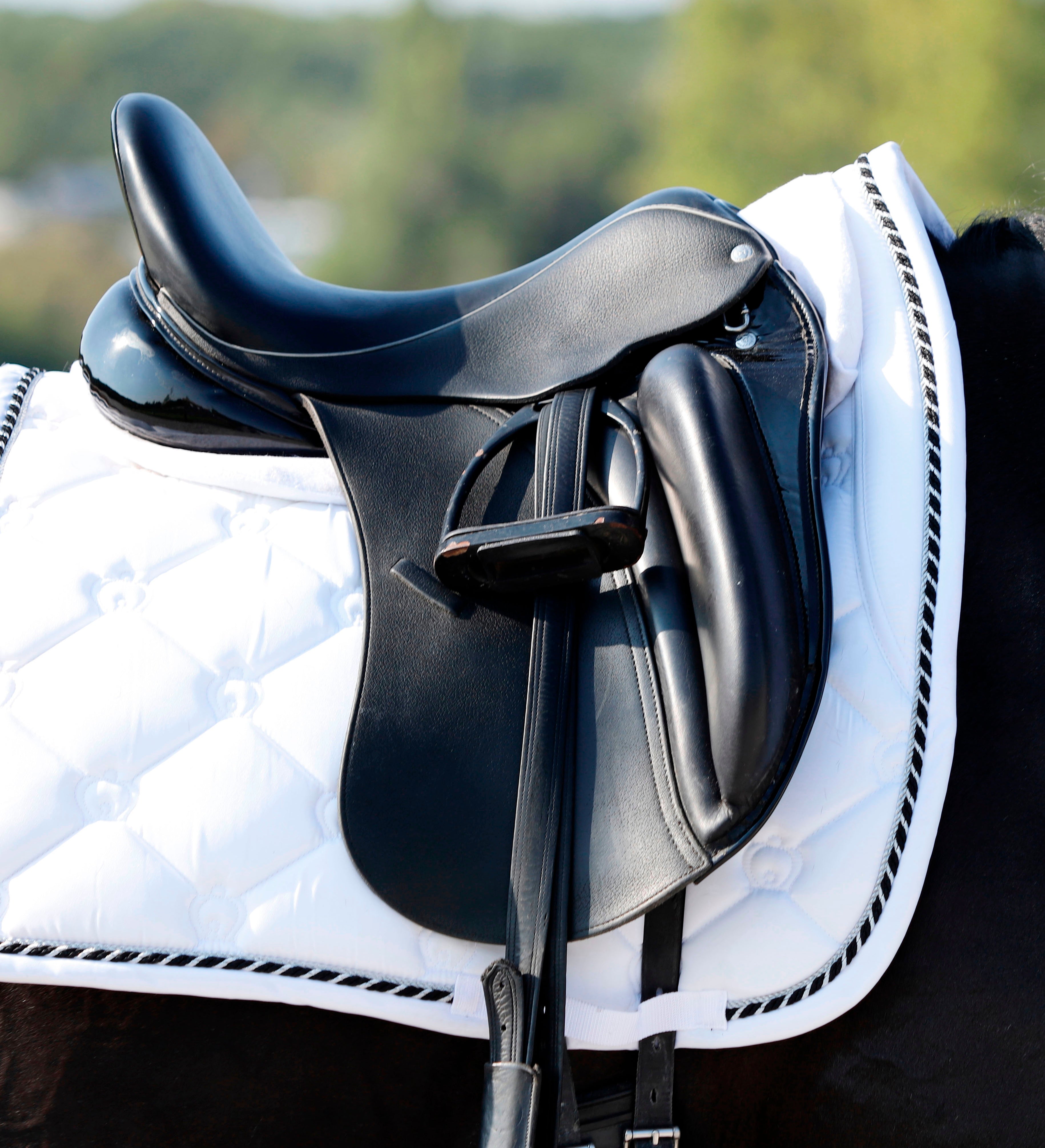 Dressage Saddles