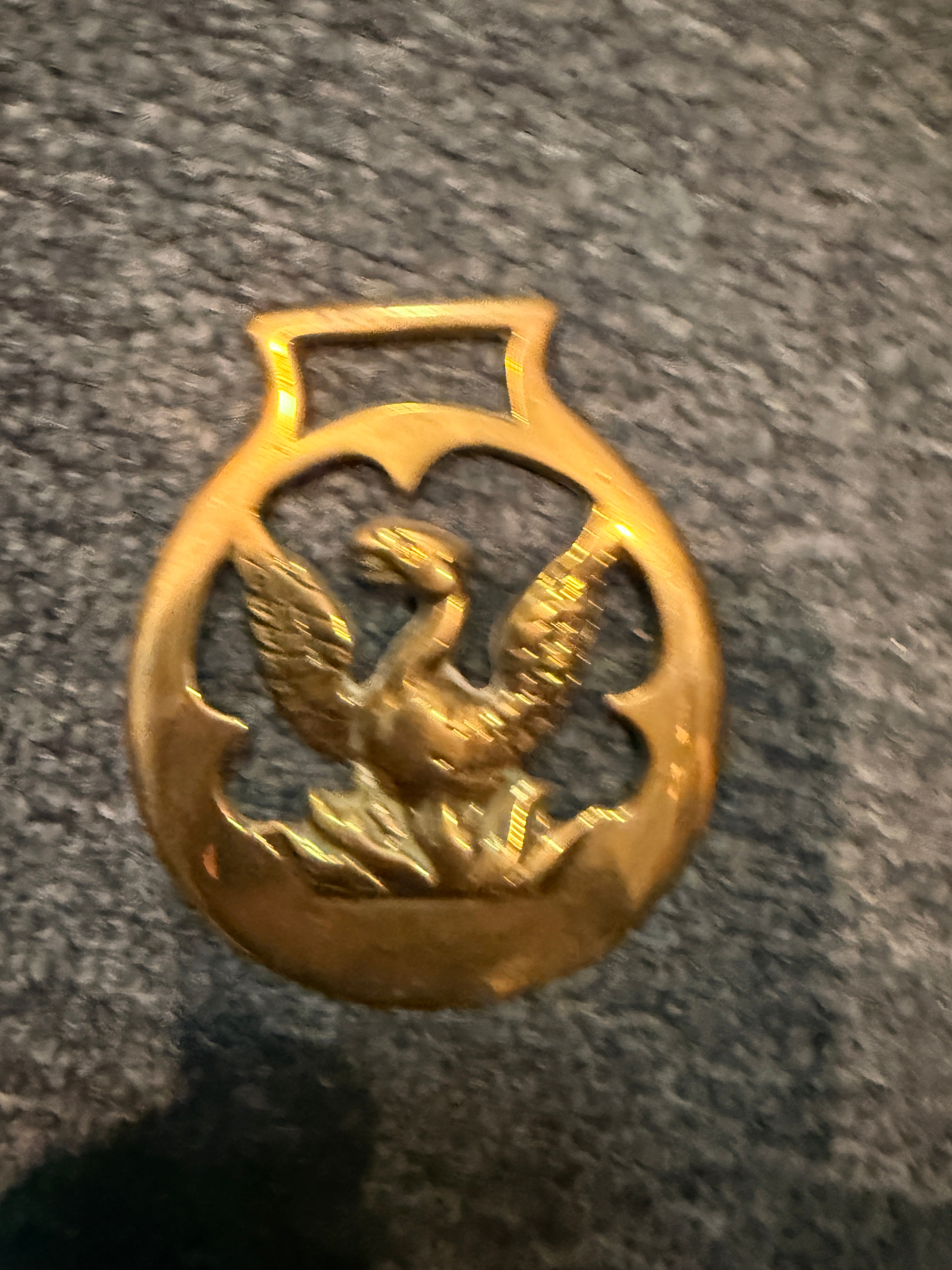 Brass Horse Harness Medallions