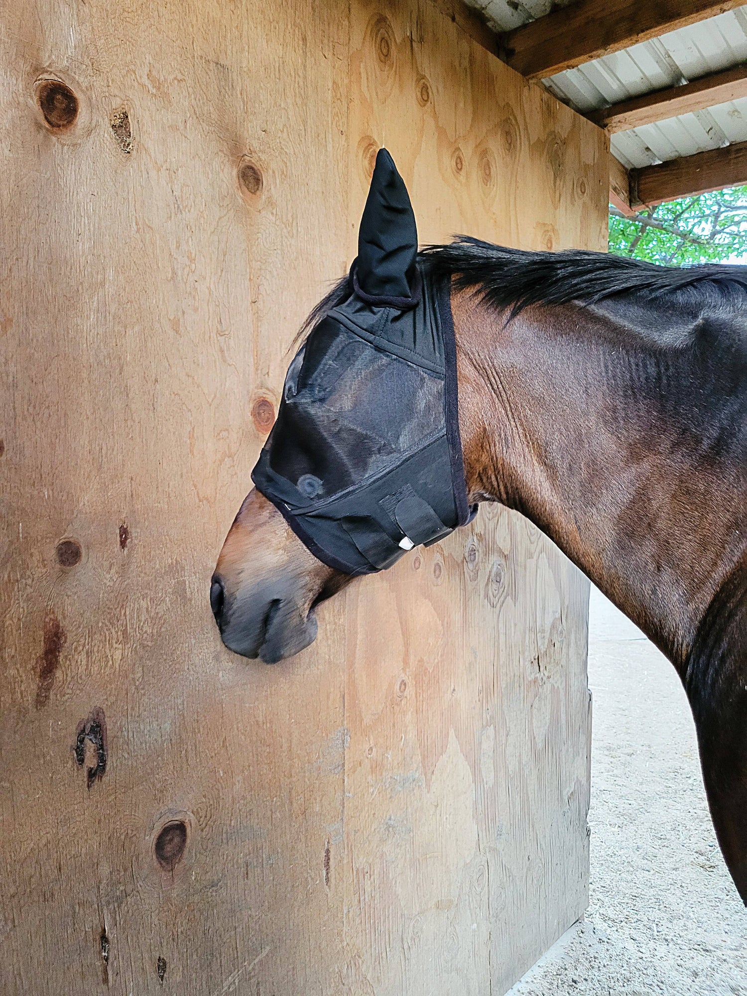 Fly Mask with Lycra Ears
