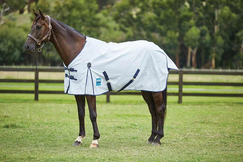 Kool Coat - great sun protection summer rug