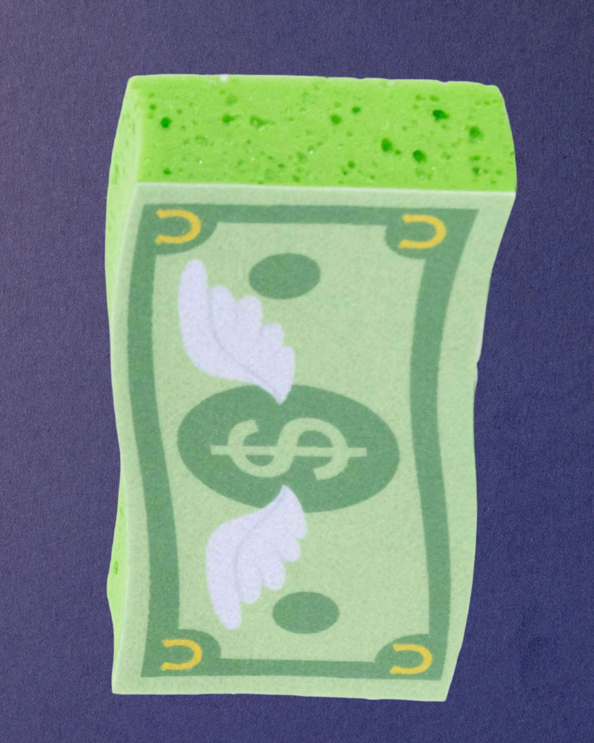 Money Sponge by dreamers & schemers watch your money fly away