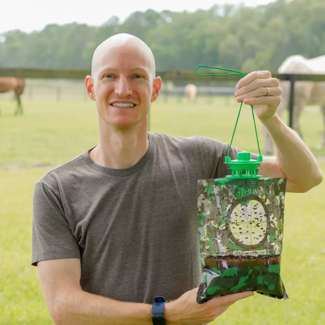 Fly Hunter Fly Traps
