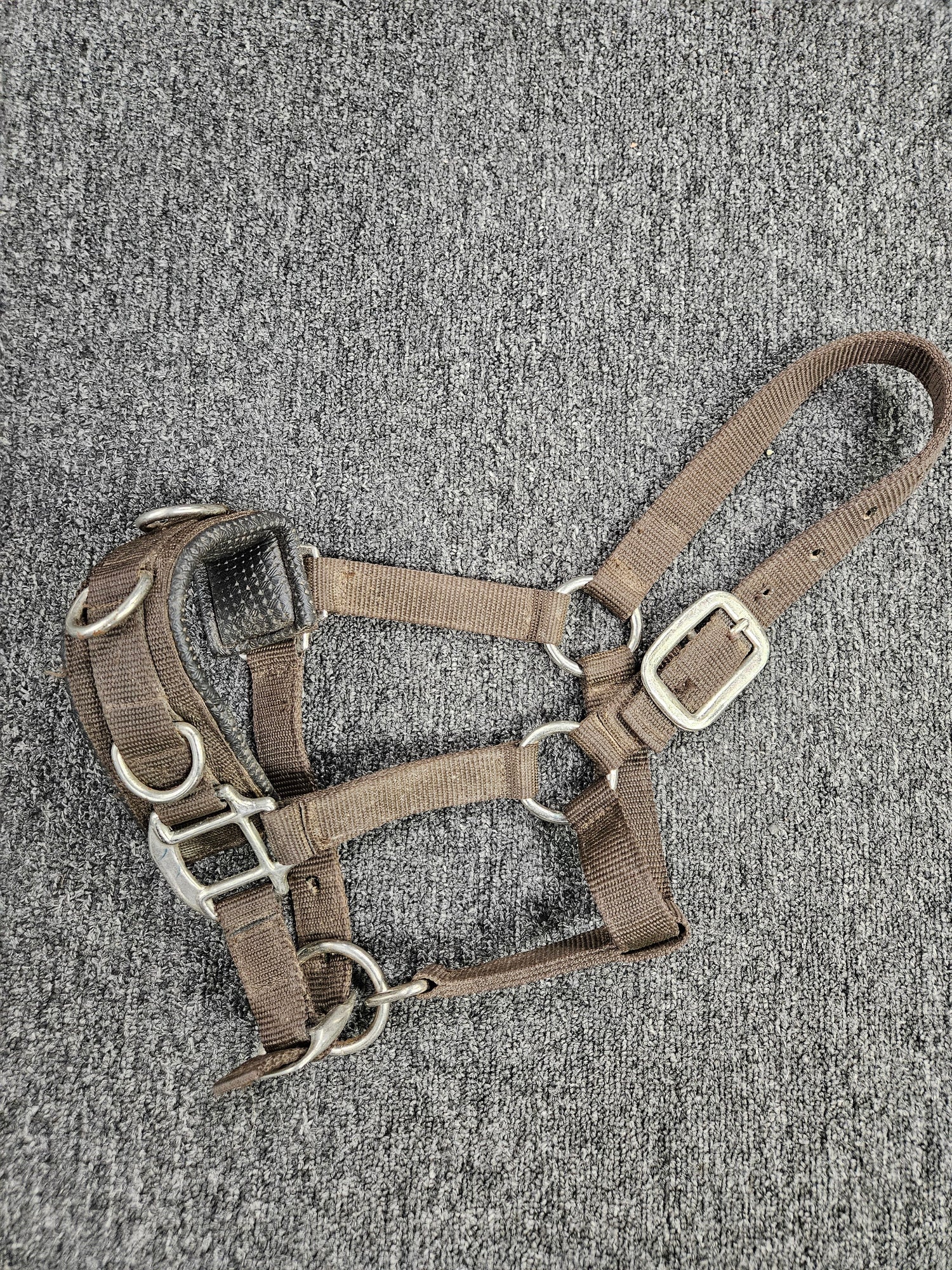 Mini / small pony lunging cavesson