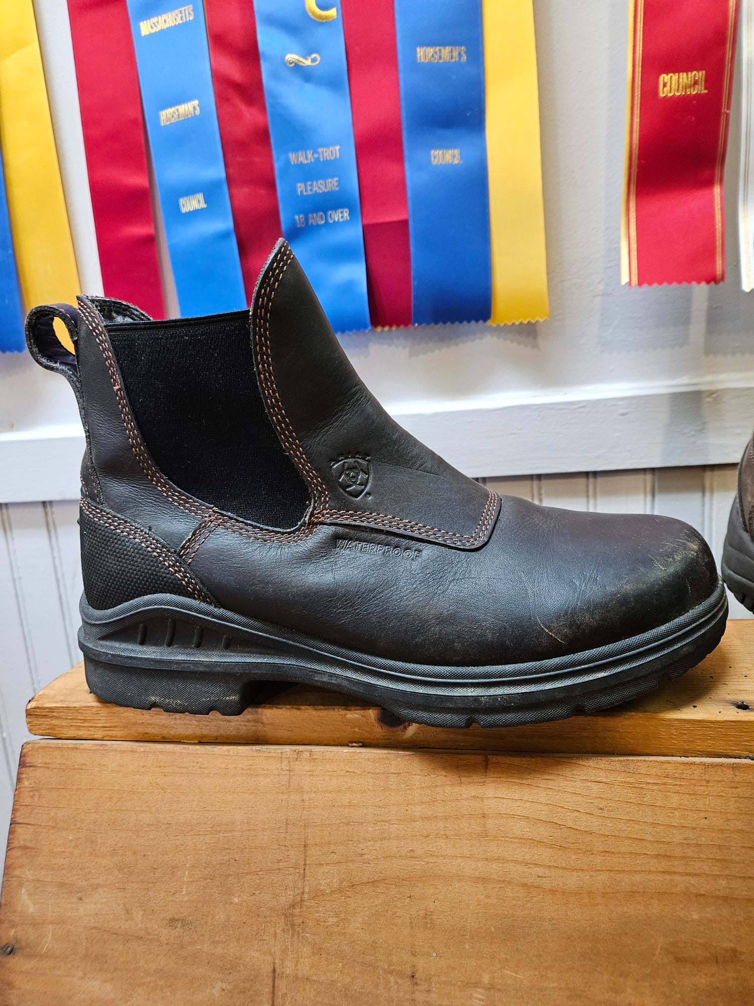 Men's paddock boots 9-10