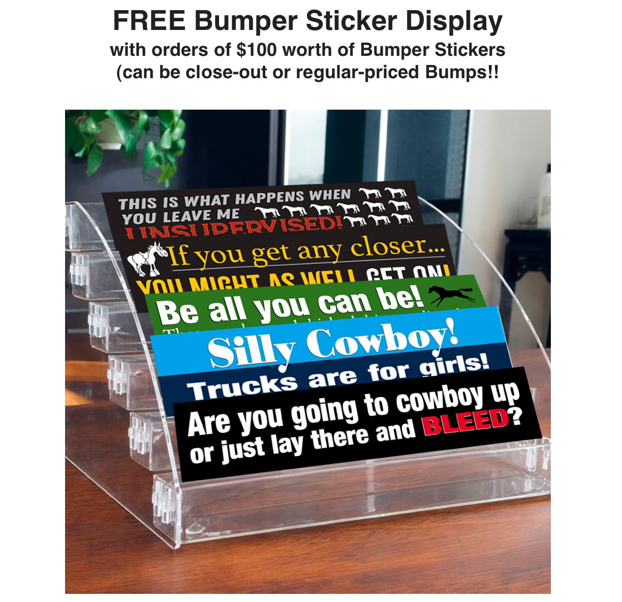 Horse Bumper Sticker Silly Cowboy!