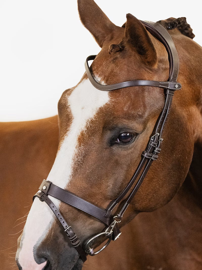 PS of Sweden London Bridle in Brown