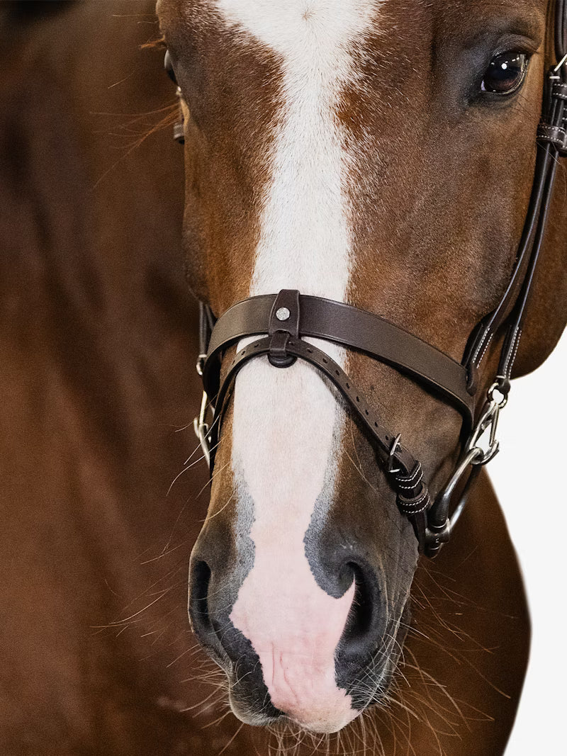 PS of Sweden London Bridle in Brown