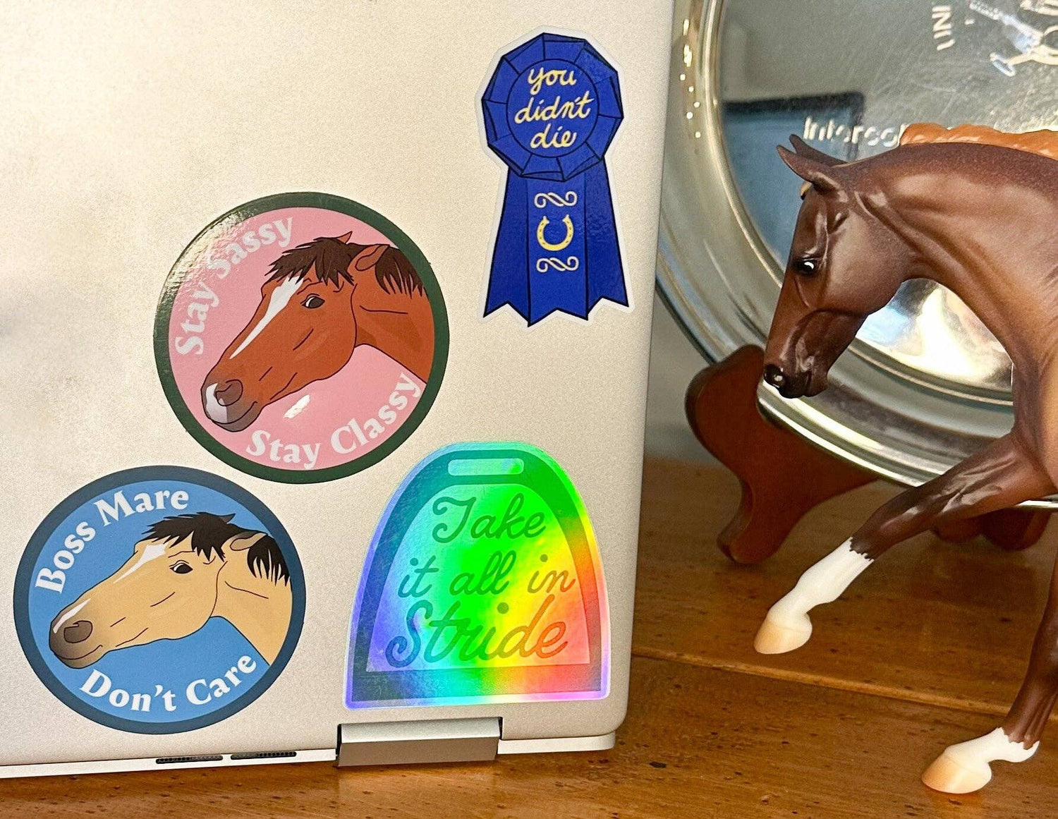 Boss Mare Don't Care Sticker