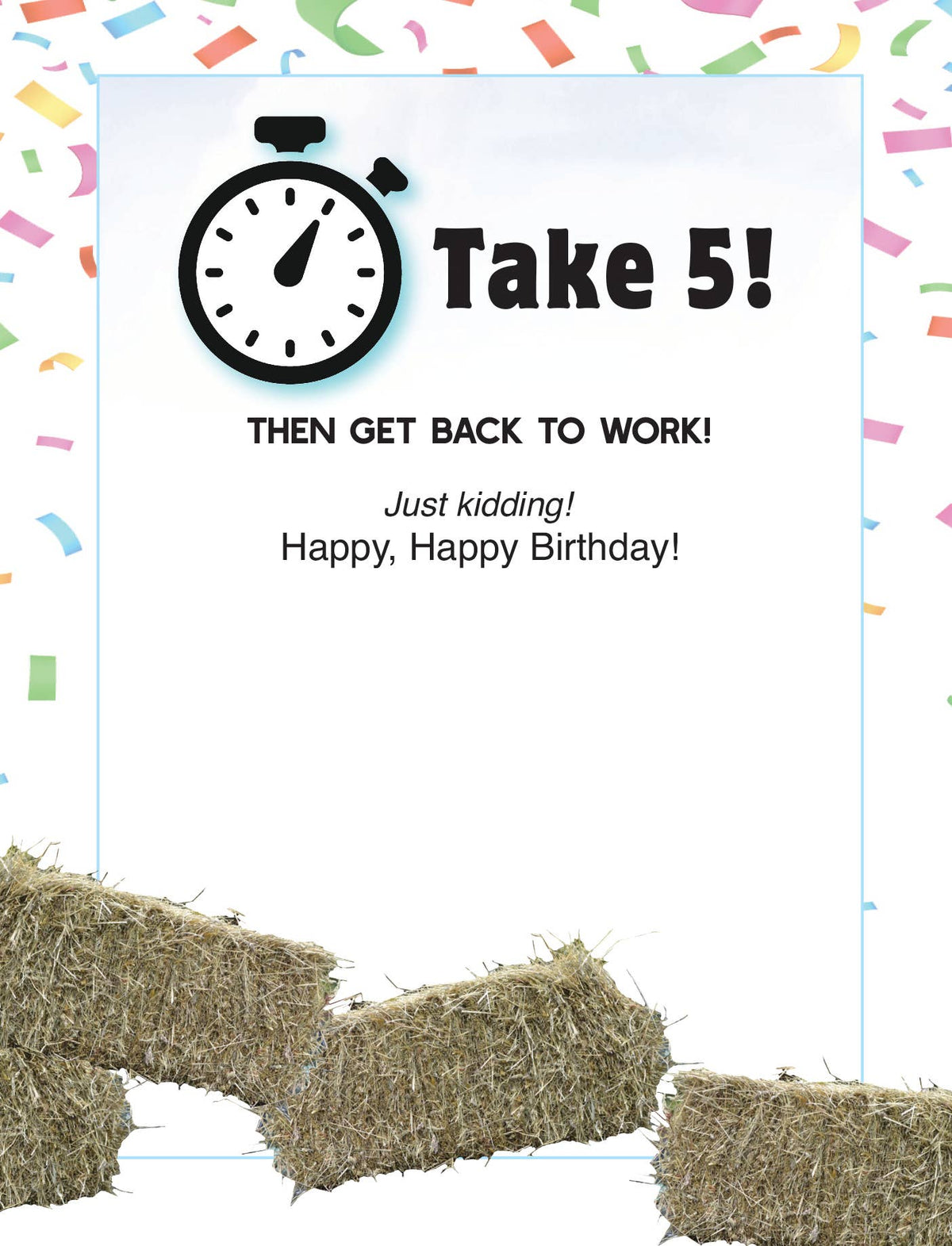 Horse Birthday Card | Horse Husband | Affordable | Sleeved