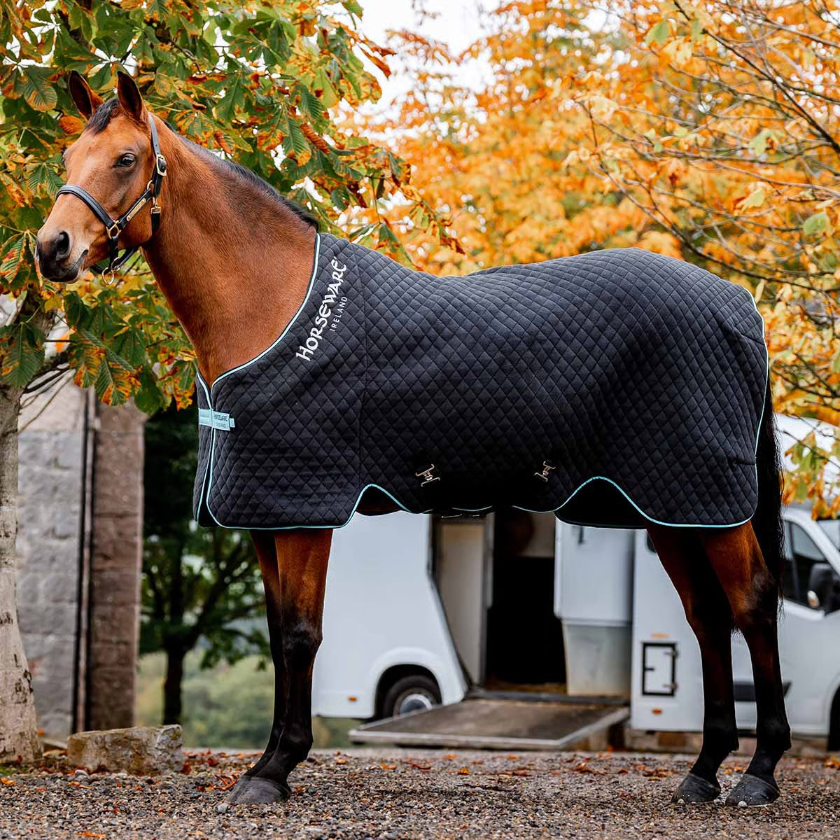 75" 50g Horseware autumn cooler