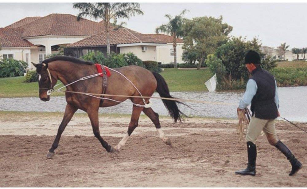 Pessoa lunging system