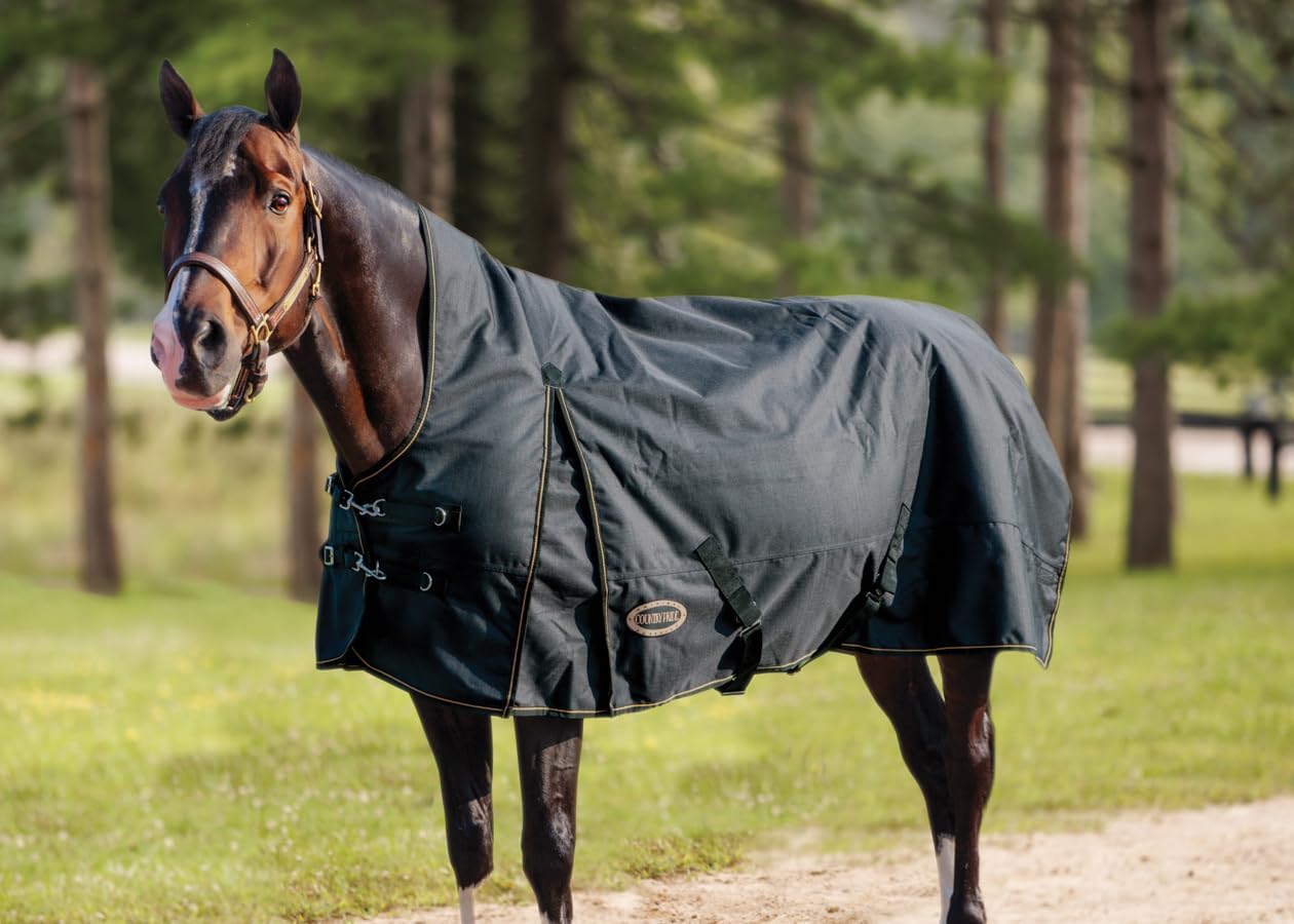 1200-D Paladin Highneck 300gram Heavyweight Turnout Blanket