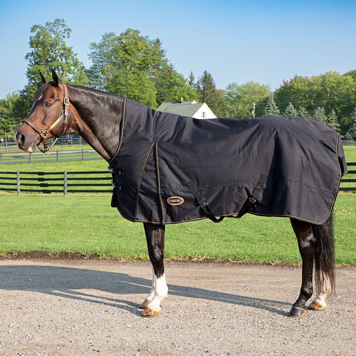 1200-D Paladin Highneck 300gram Heavyweight Turnout Blanket