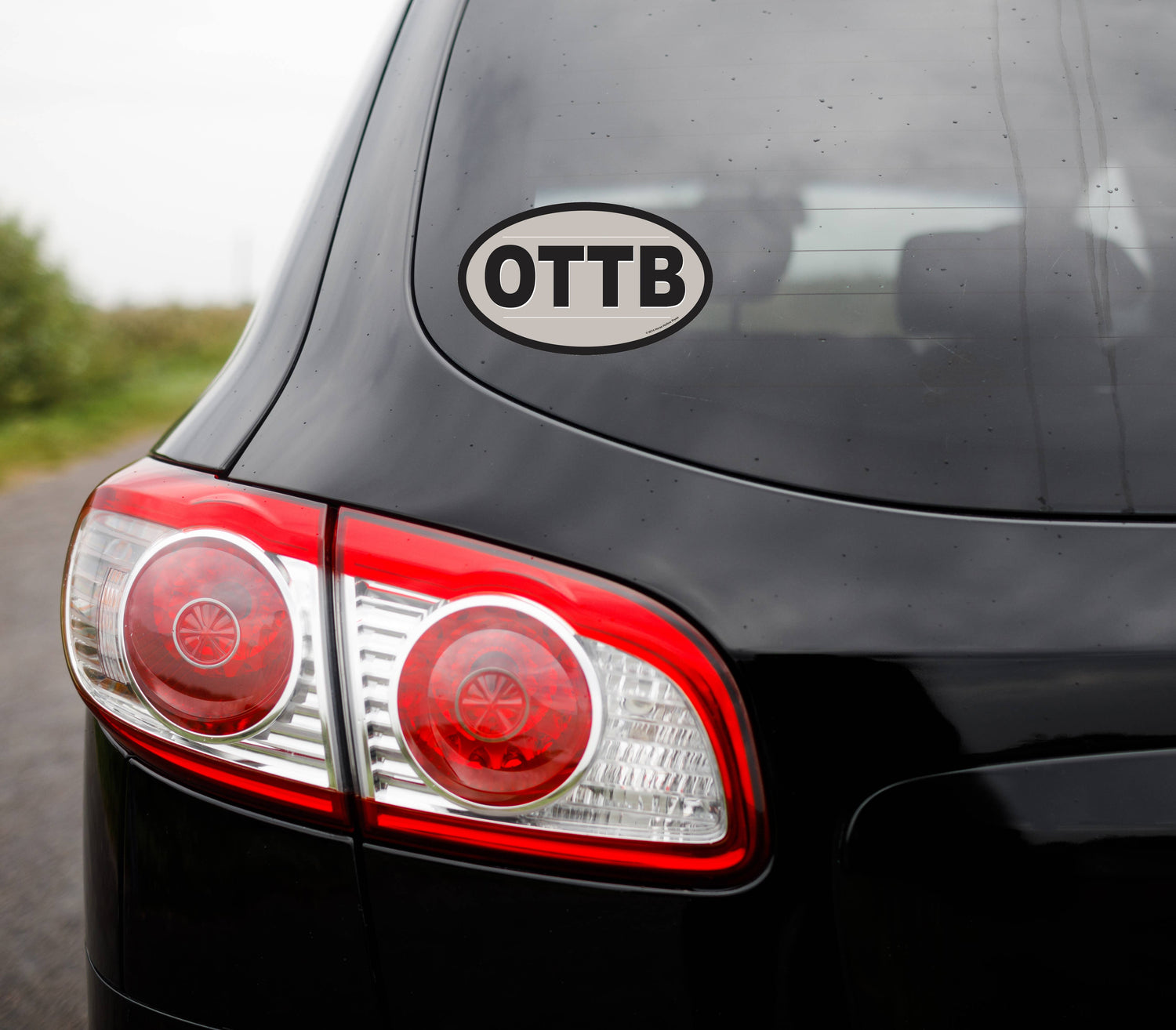 Oval Equestrian Horse Sticker / OTTB / WATERPROOF