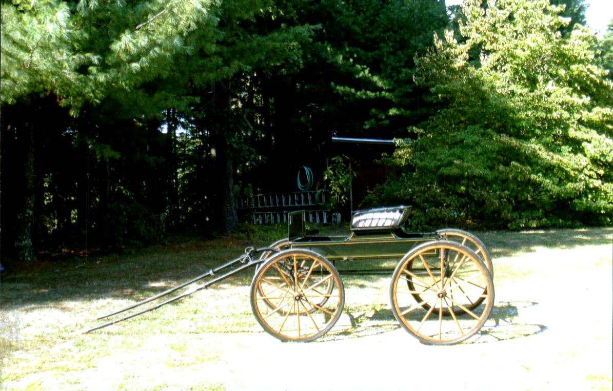 Cob - Horse Spindle Seat 4 Wheel Carriage