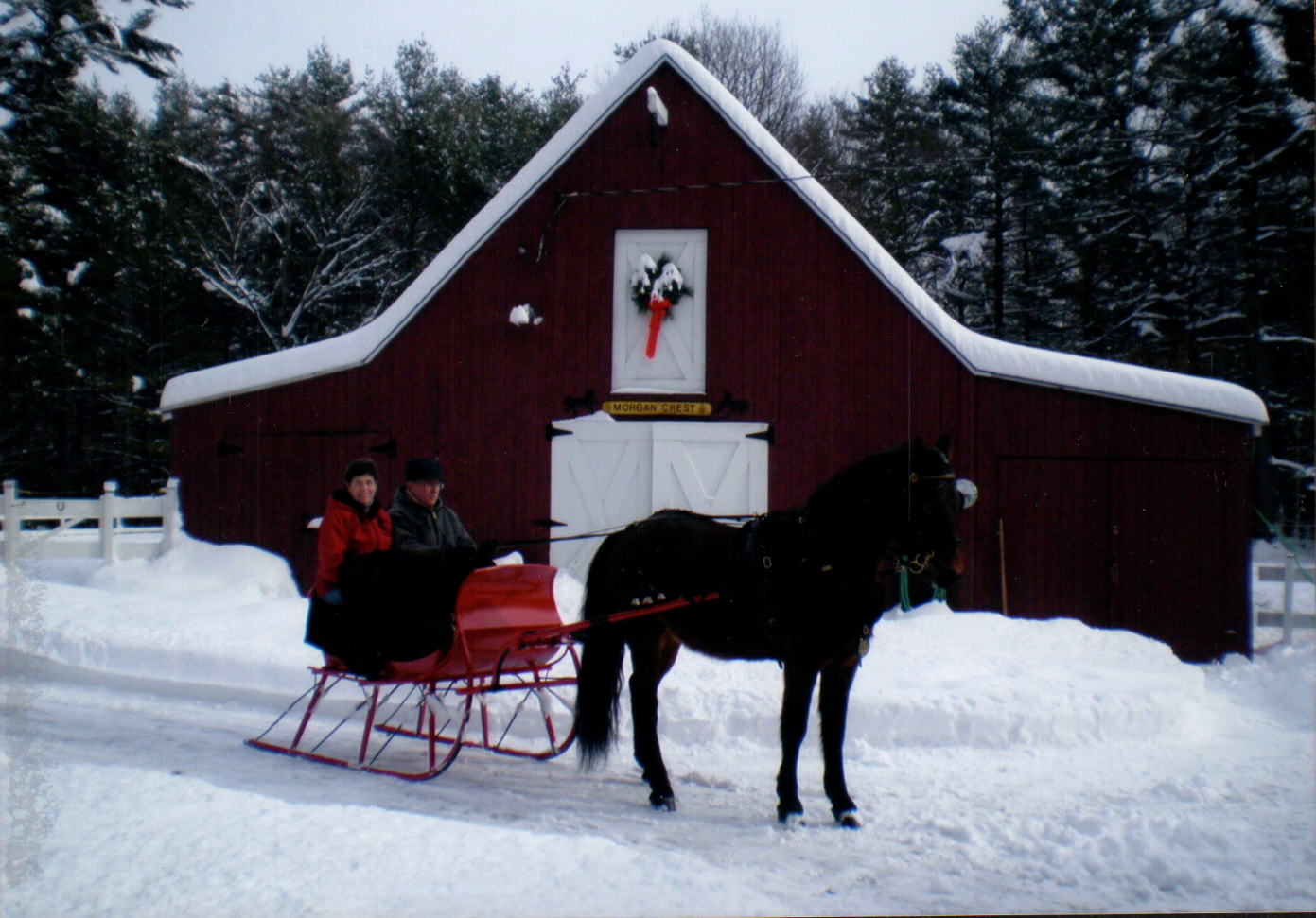 two person Sleigh red pulled by a Cob Sized horse