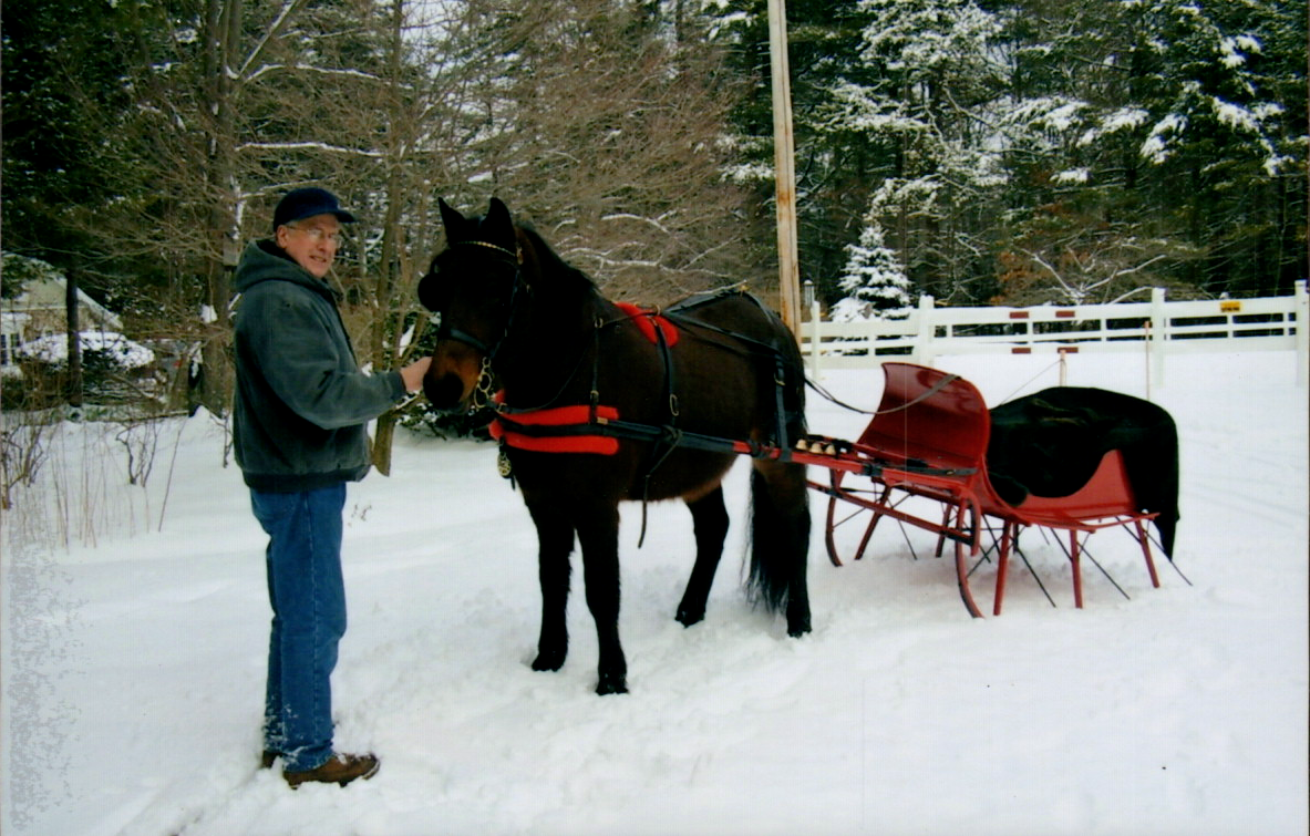 two person Sleigh red pulled by a Cob Sized horse