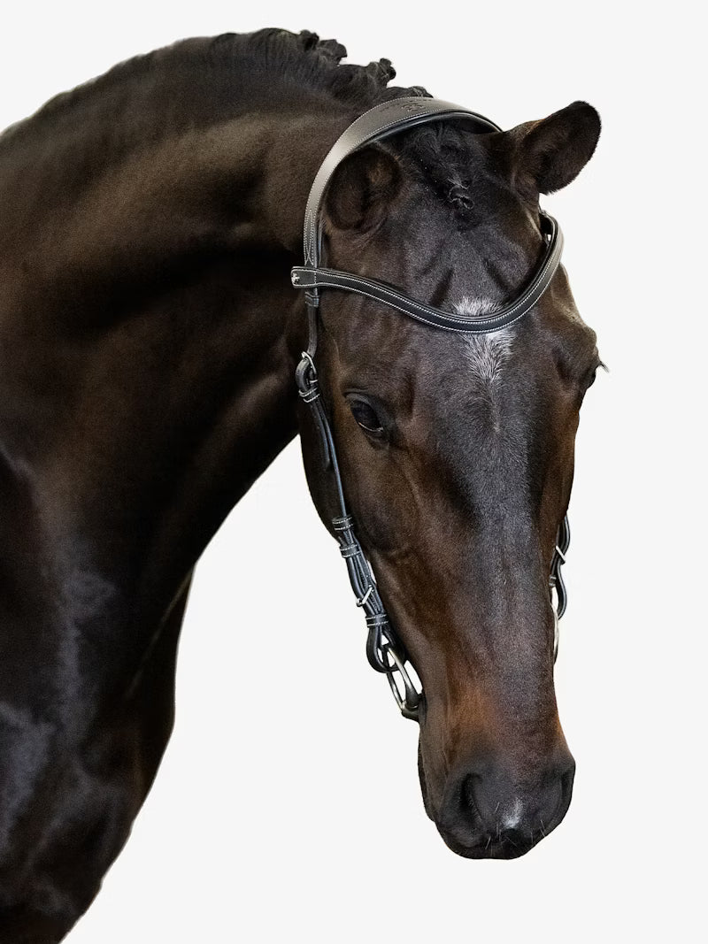 PS of Sweden Helsinki Bridle