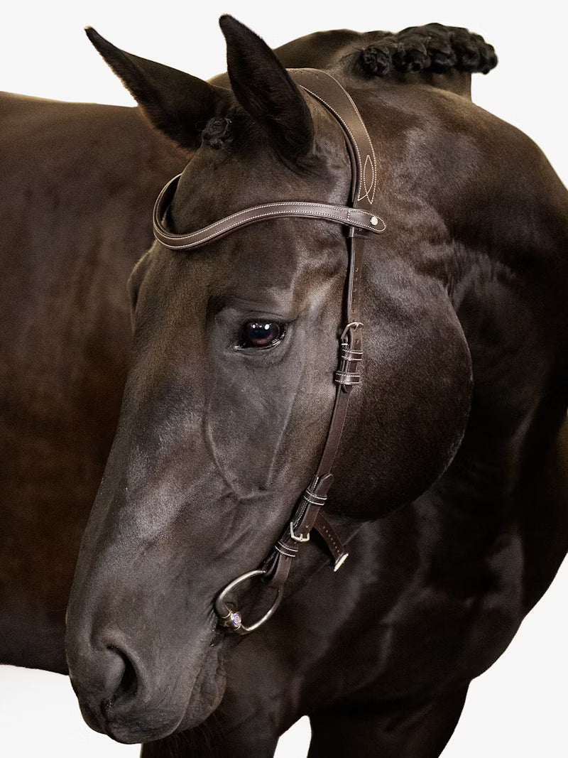 PS of Sweden Helsinki Bridle