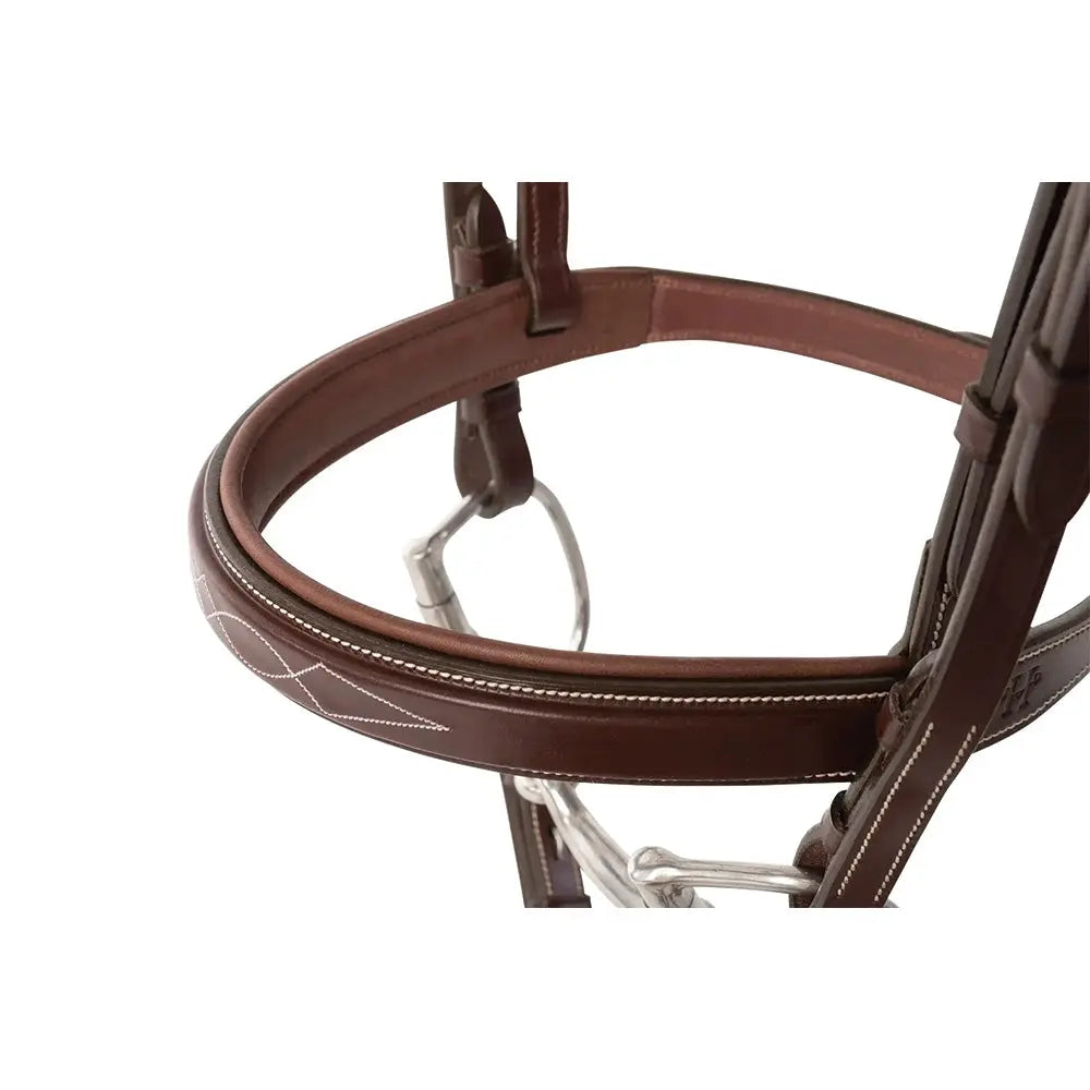 Huntley Equestrian Fancy Stitched Sedgwick Leather Padded Bridle with Reins