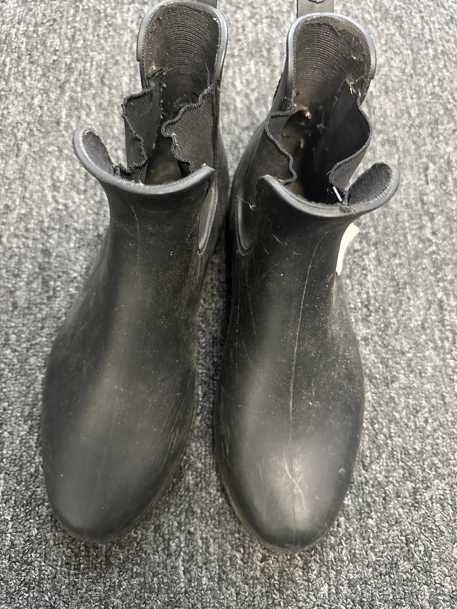 Paddock Boots assorted