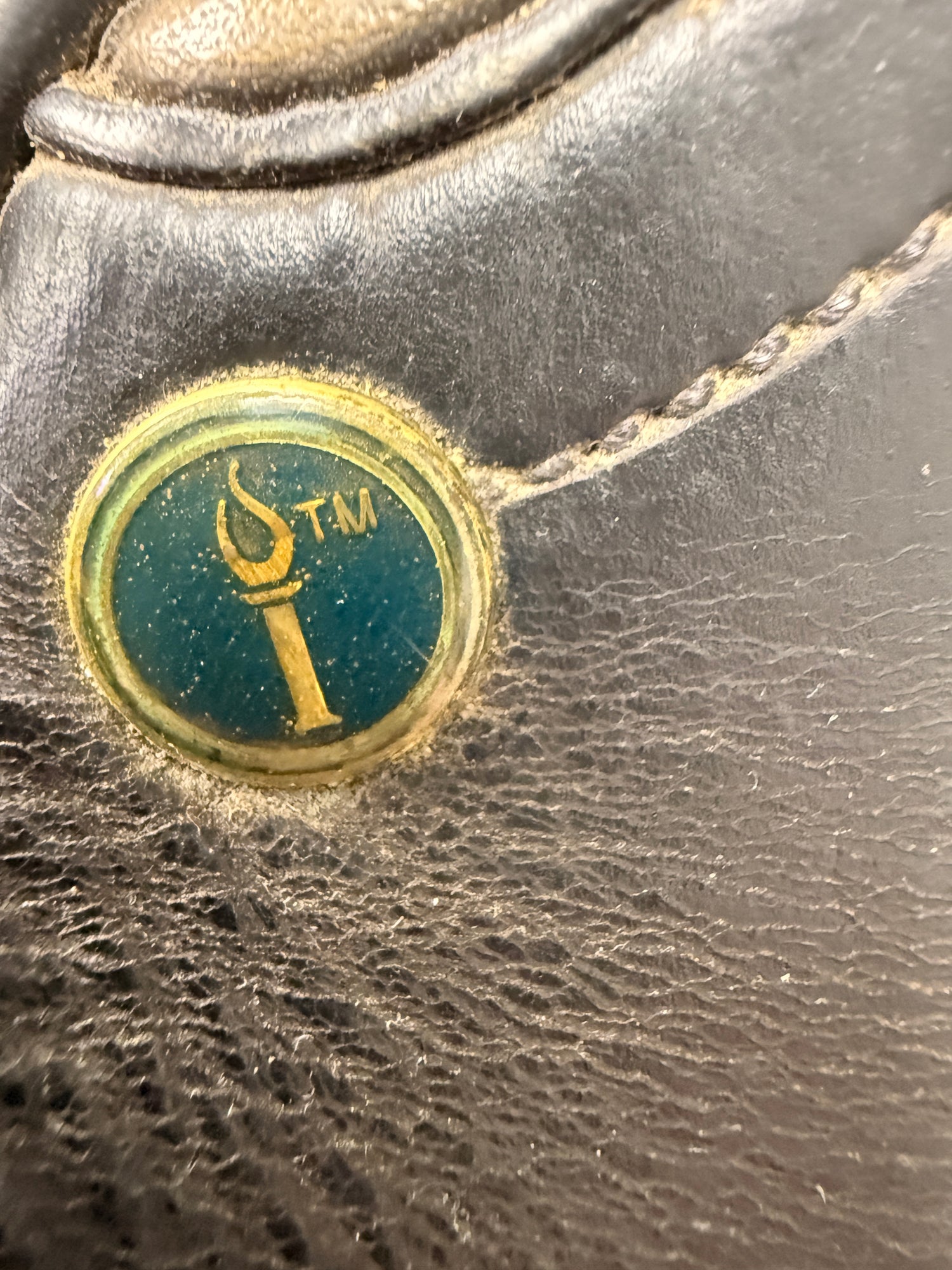 Saddle - Dressage 16" by Dominus