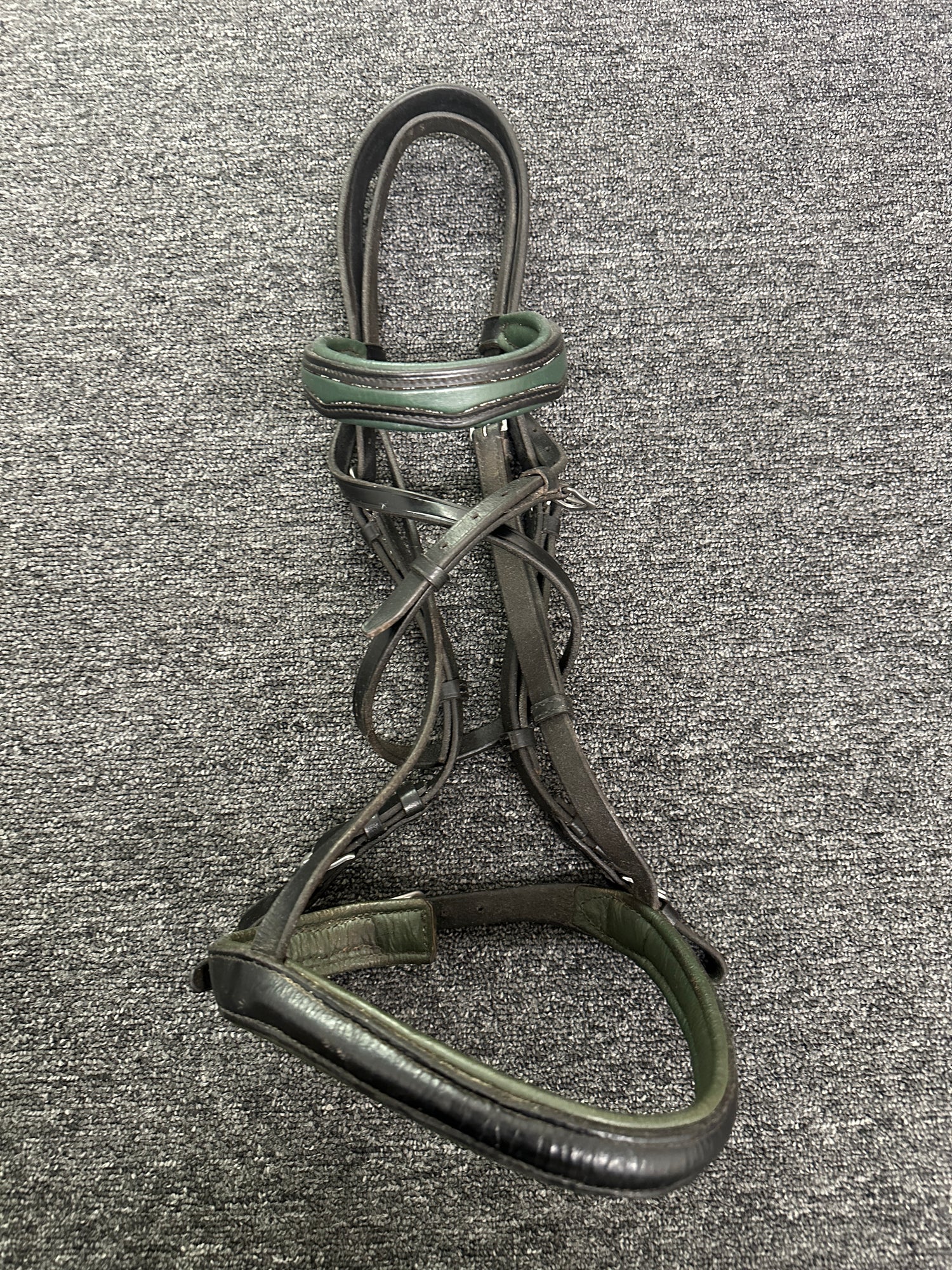 Bridle - Bridle with Green Accents