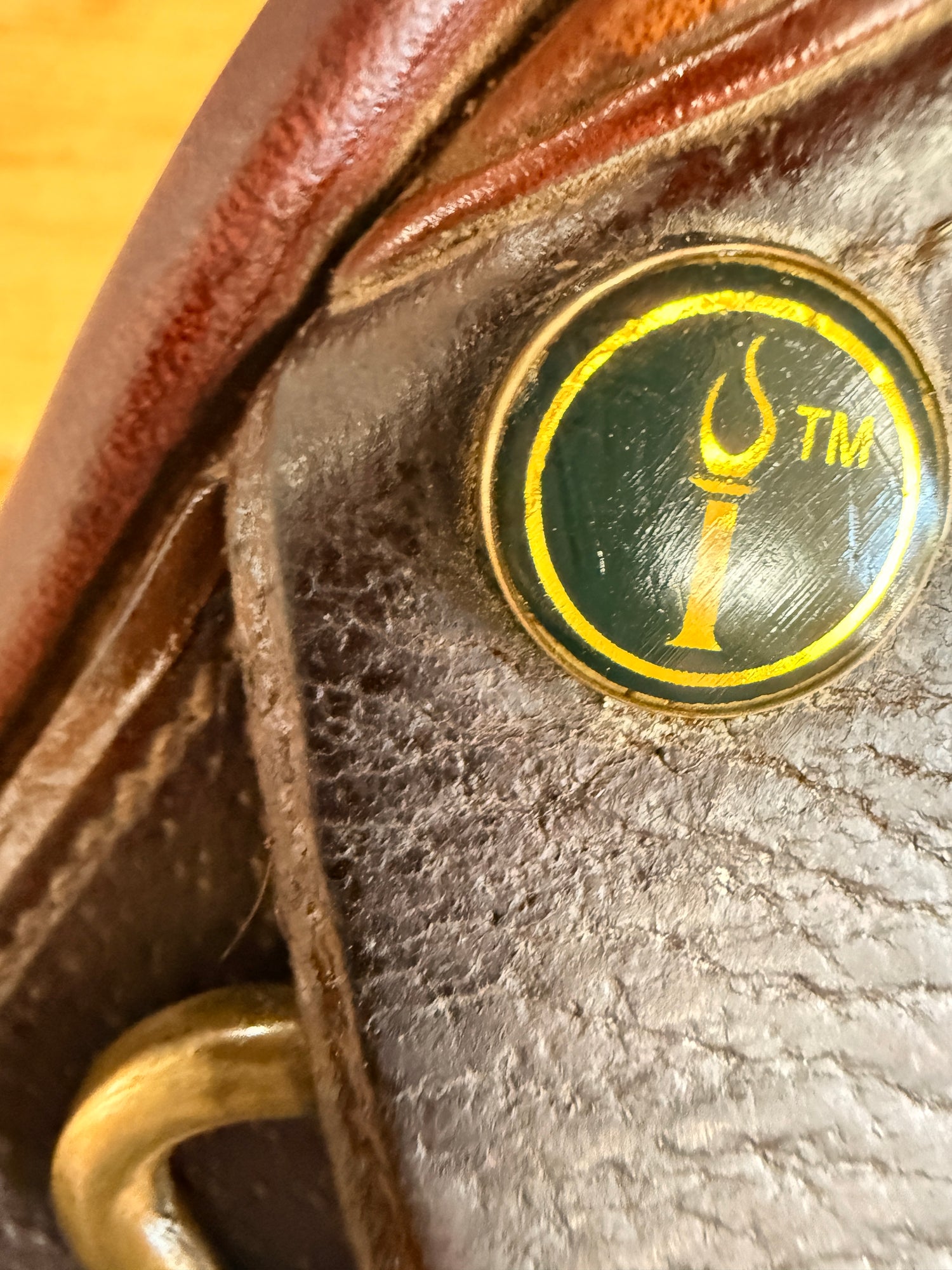 Saddle - English H/J 17" Dominus by Amiergo