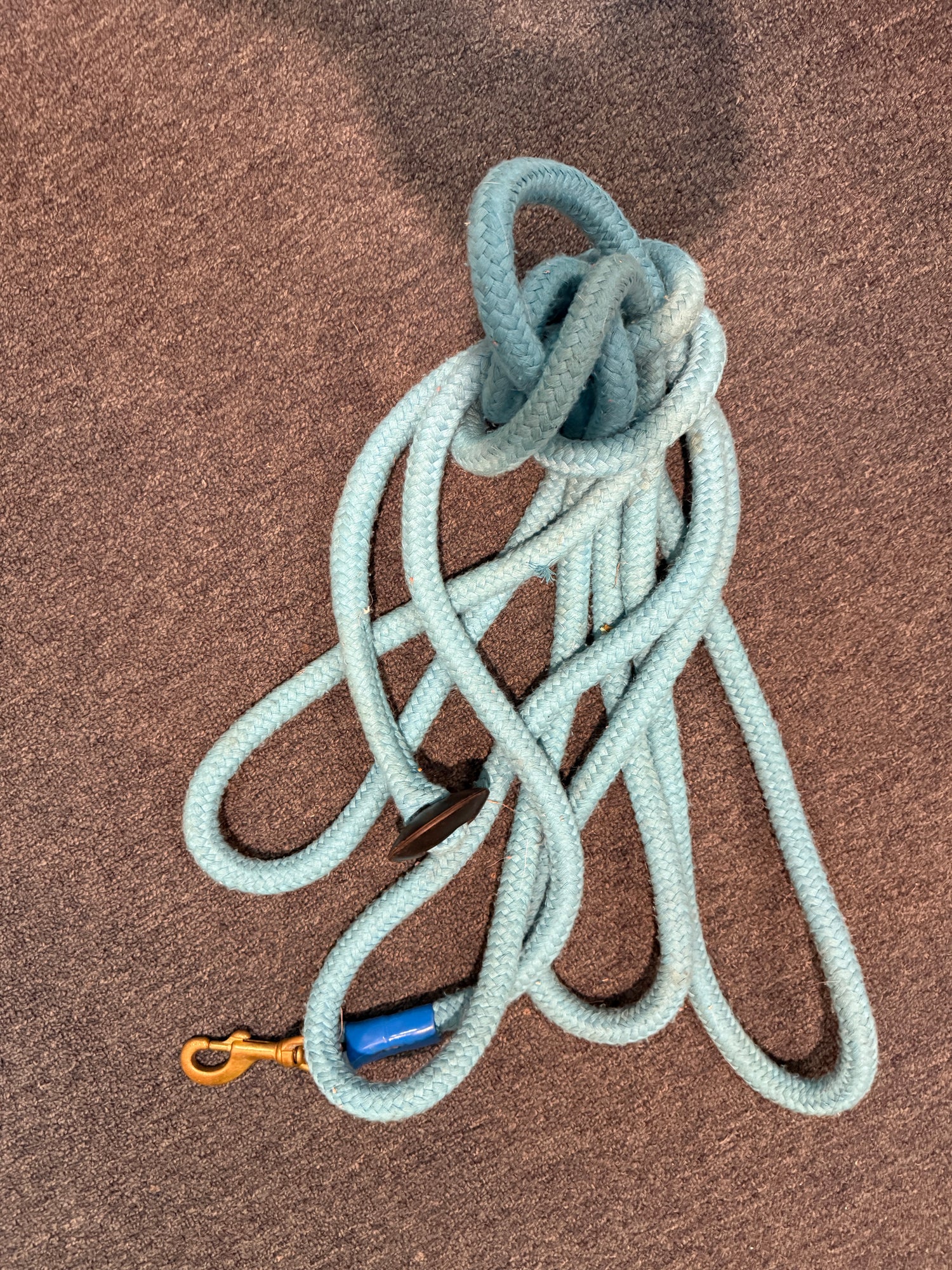 Lunge Line Cotton Blue