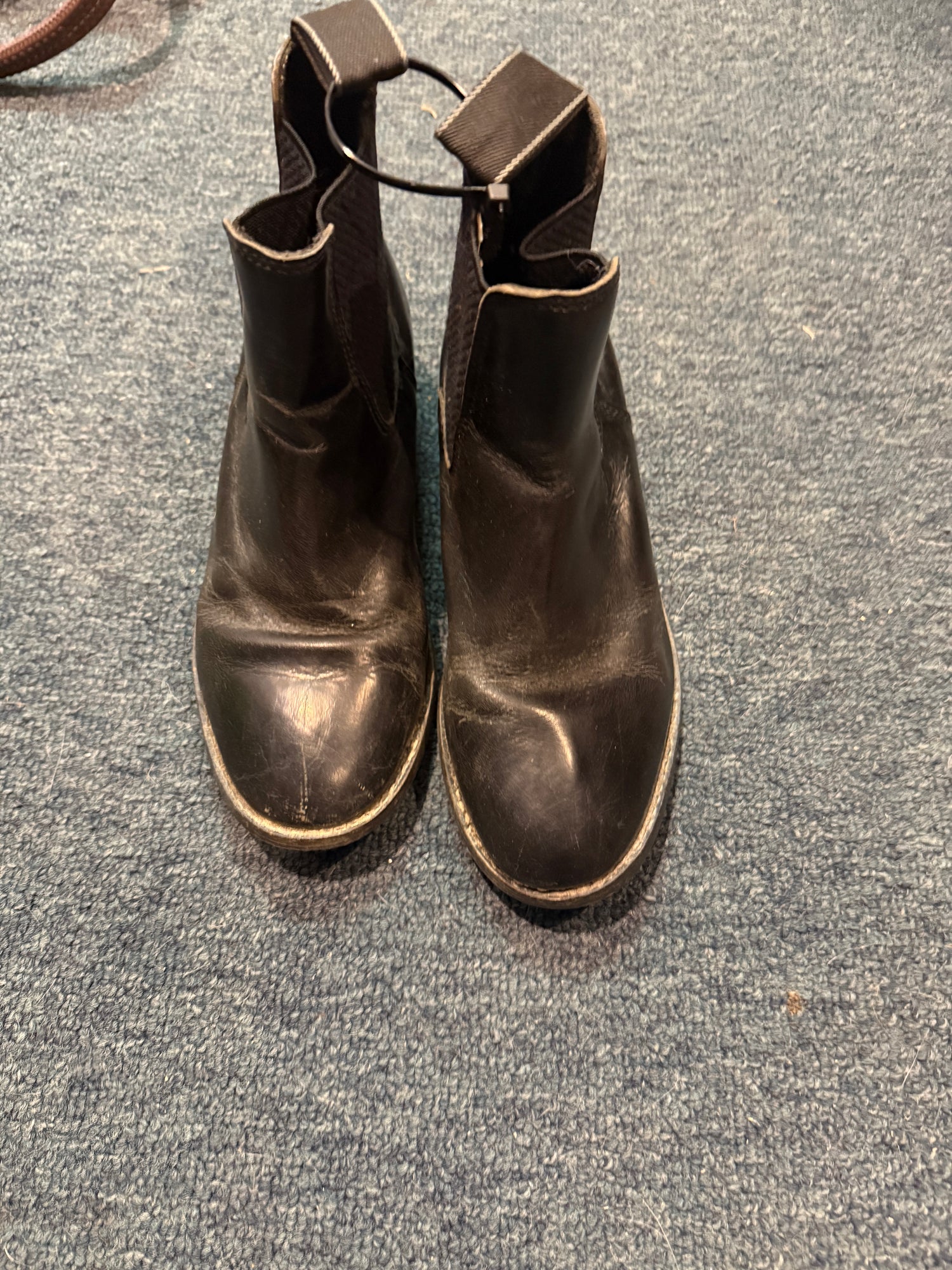 Paddock boots assorted sizes