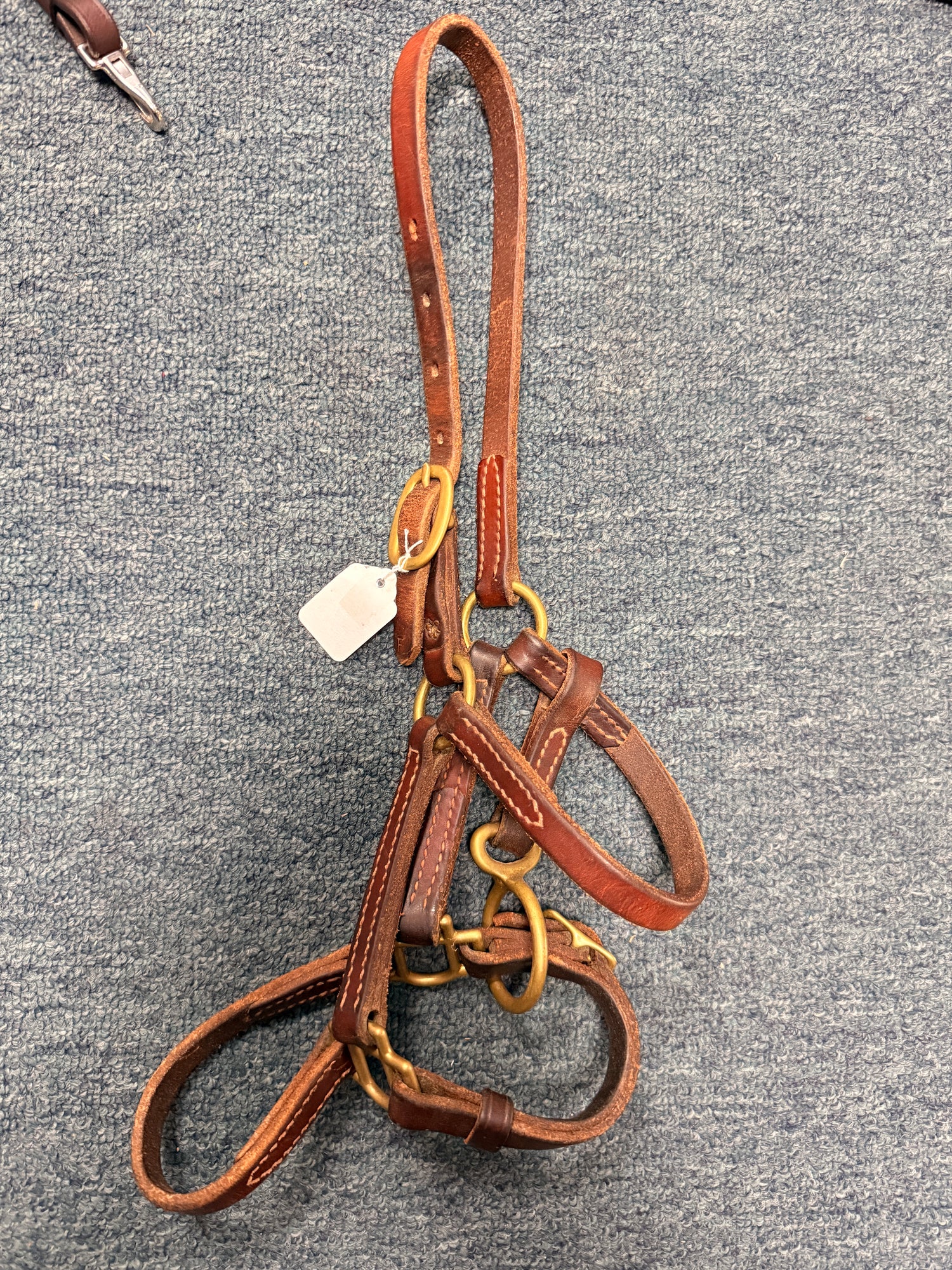 Pony Leather halter lightly used need oil