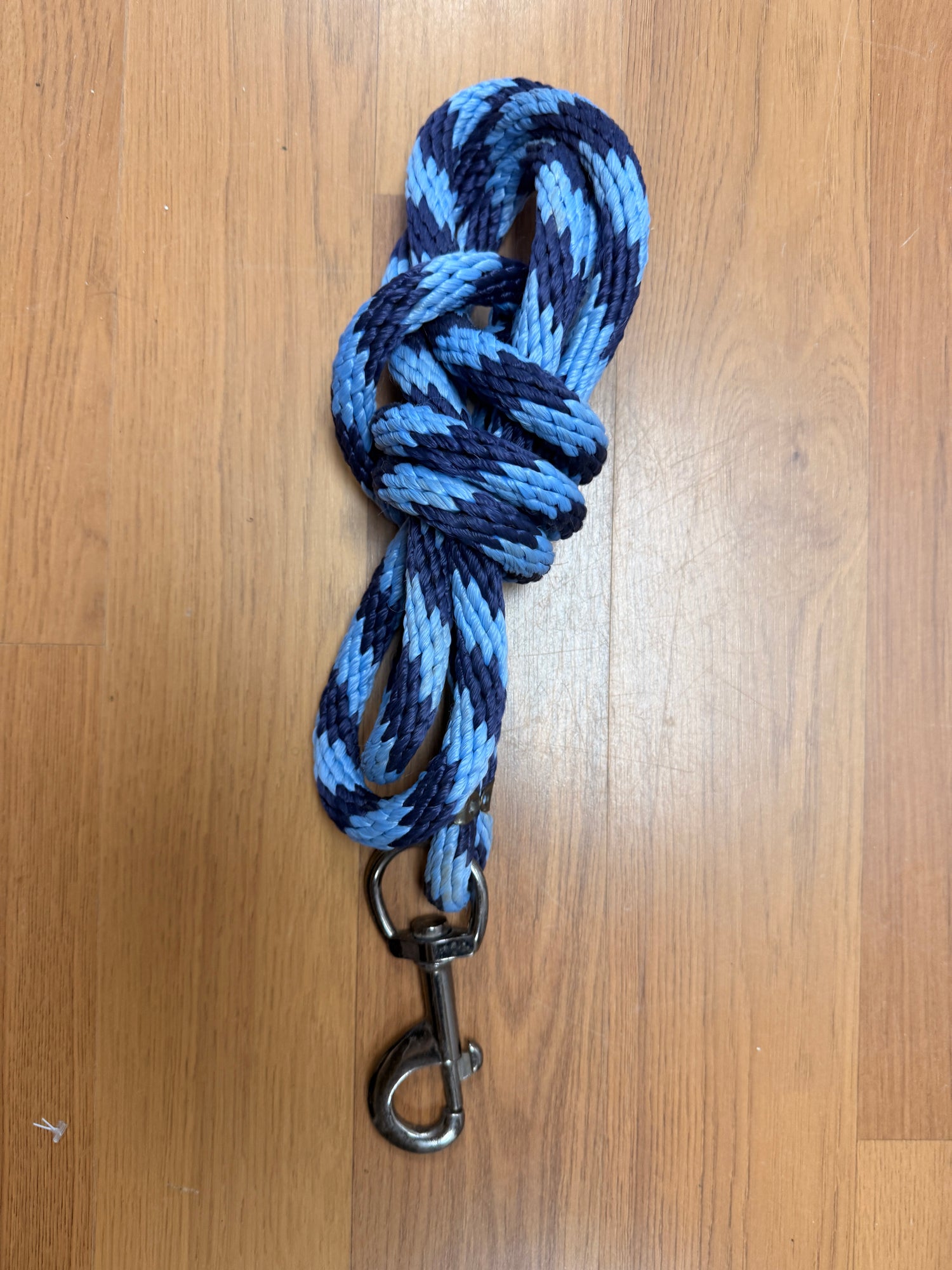 Blue Lead Rope