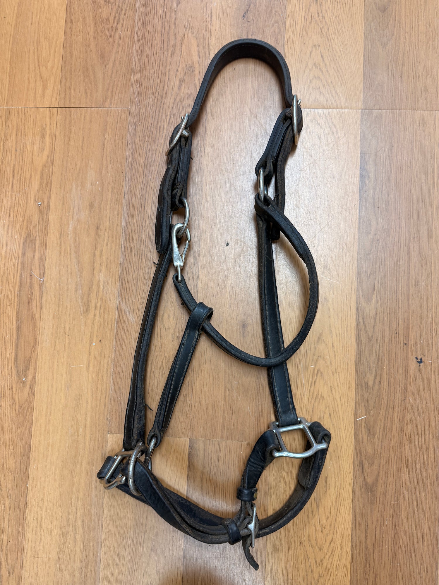 Horse Halter Black Leather