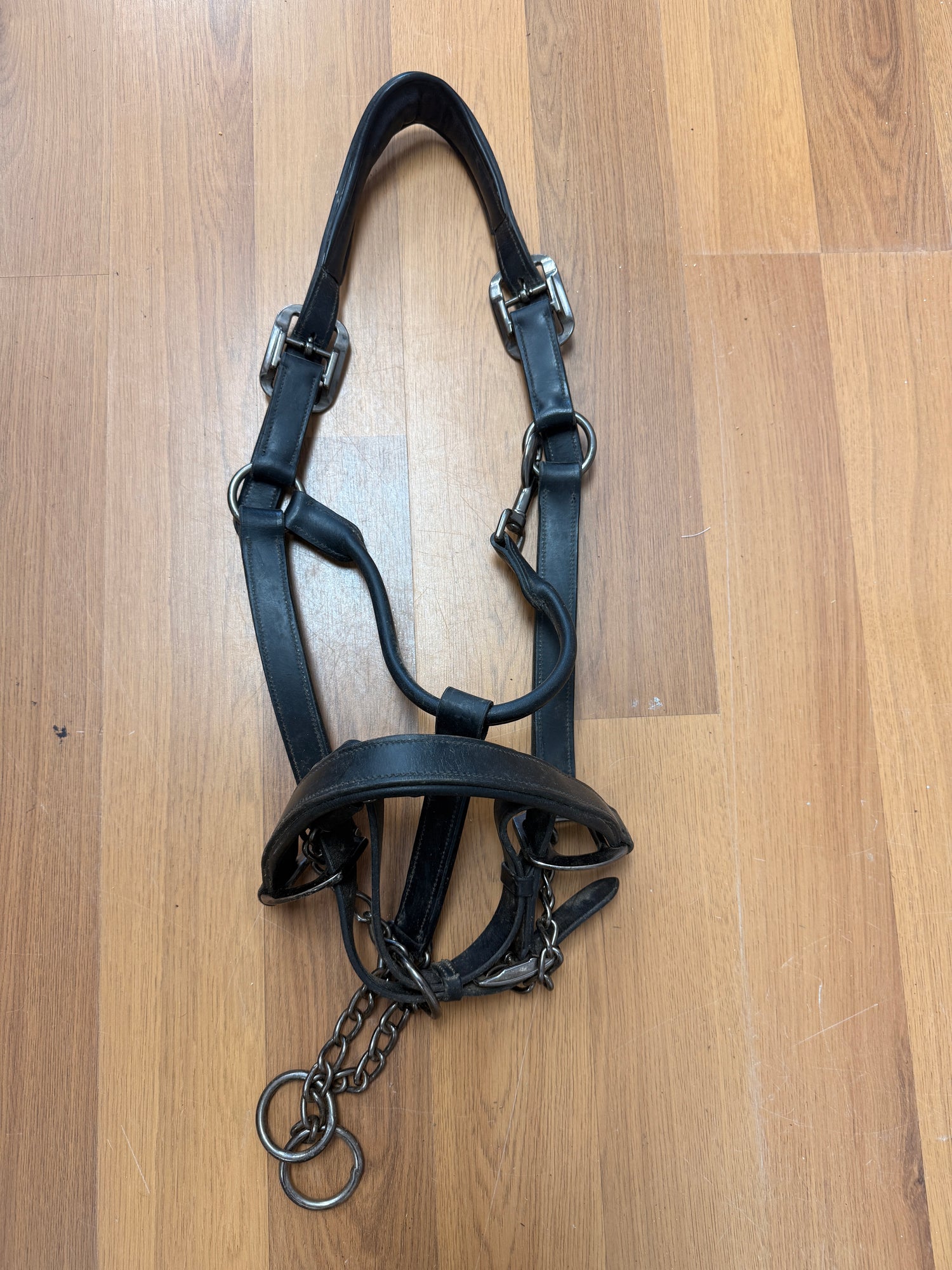 Horse Halter Black Leather with built in nose chain