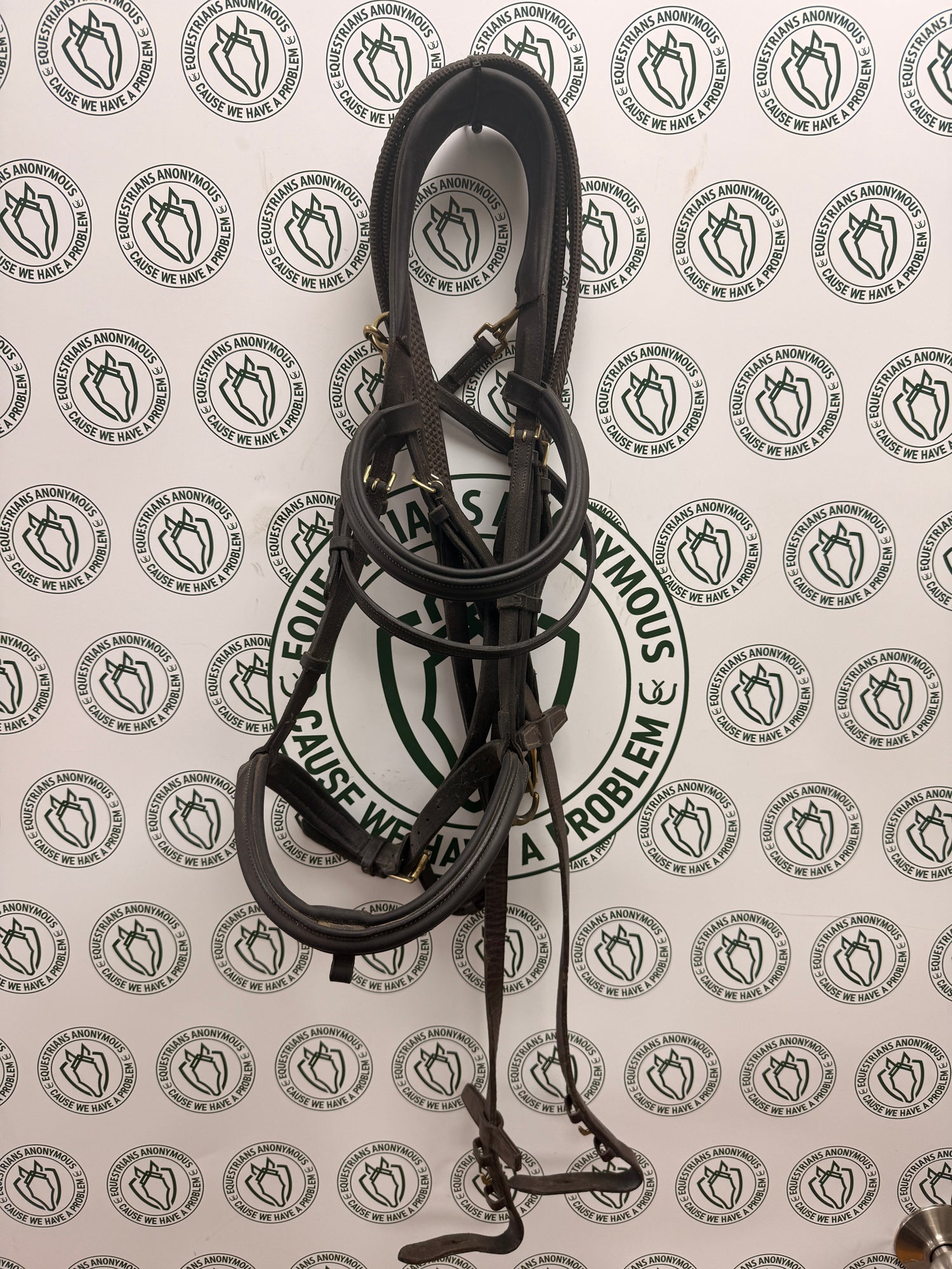LeMieux Clip Bridle with Dk Brown / Black brass clips and Harware with reins