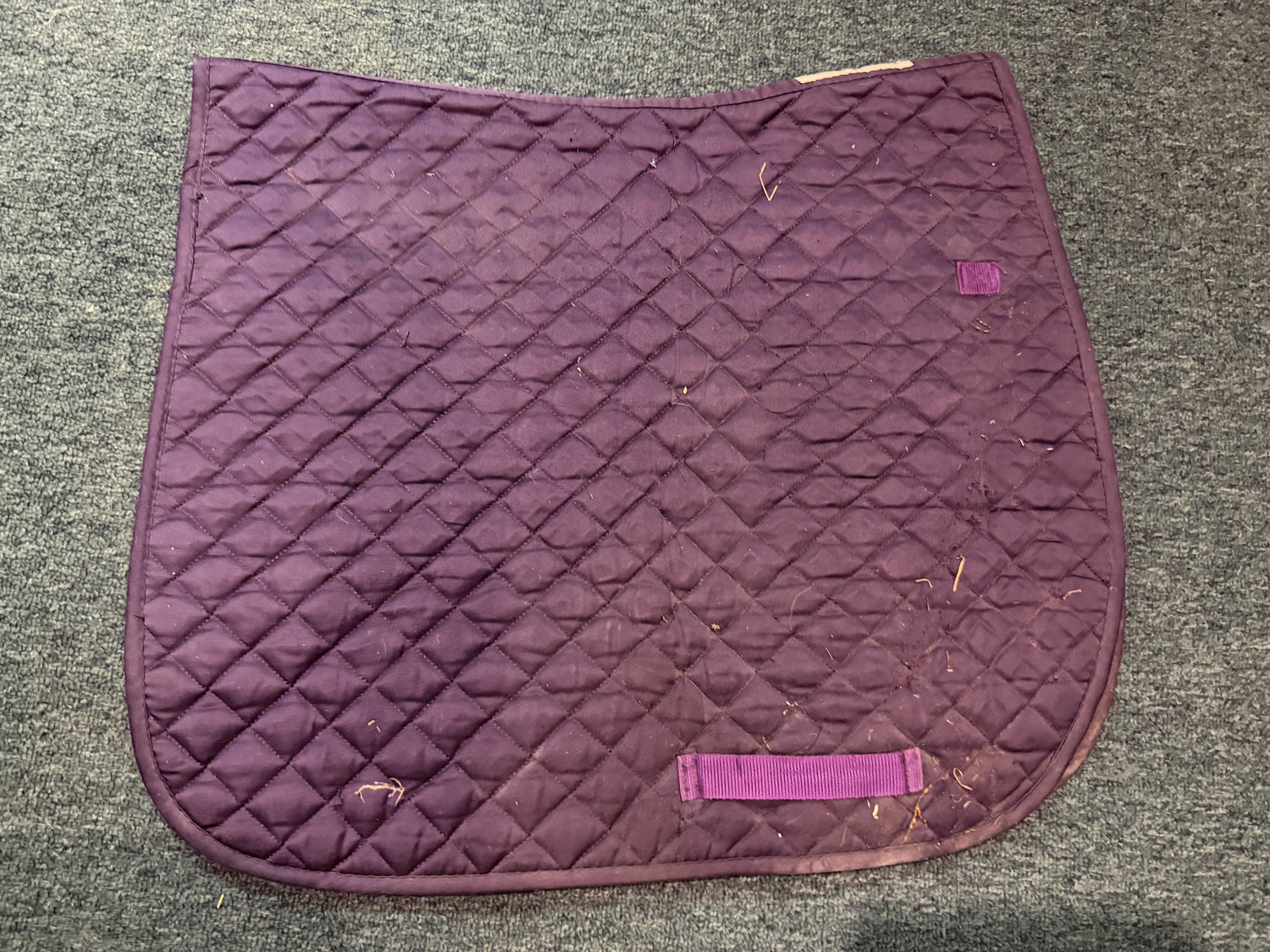 All Purpose Saddle Pads