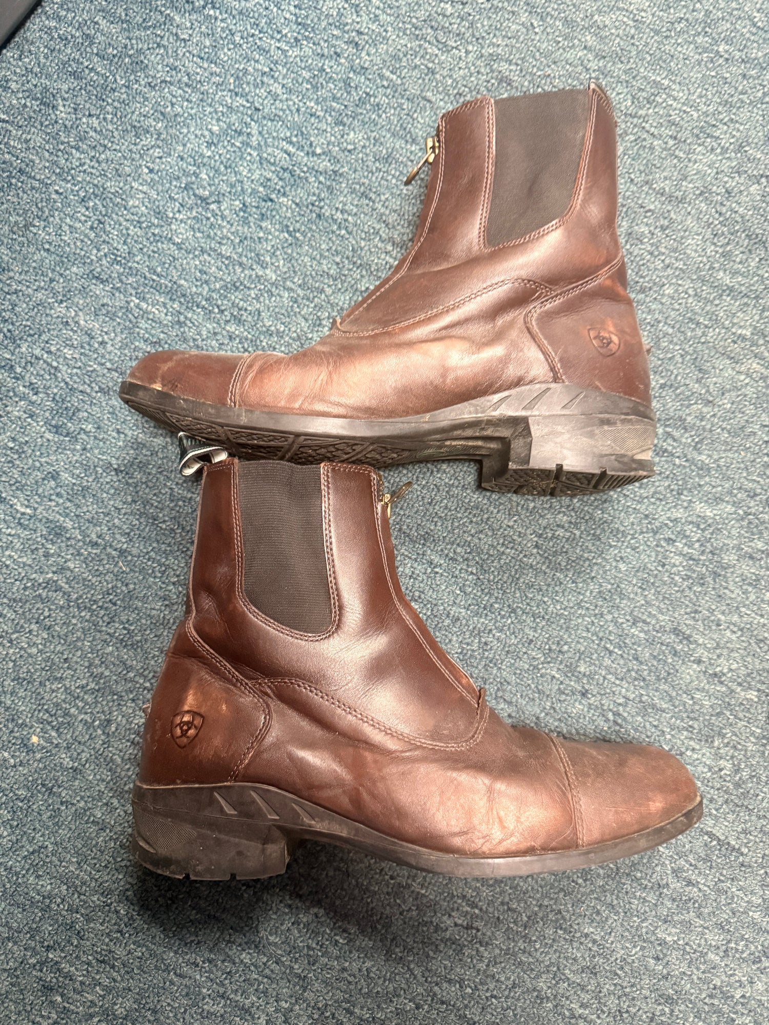 9 Men's Ariat Brown Paddock Boots