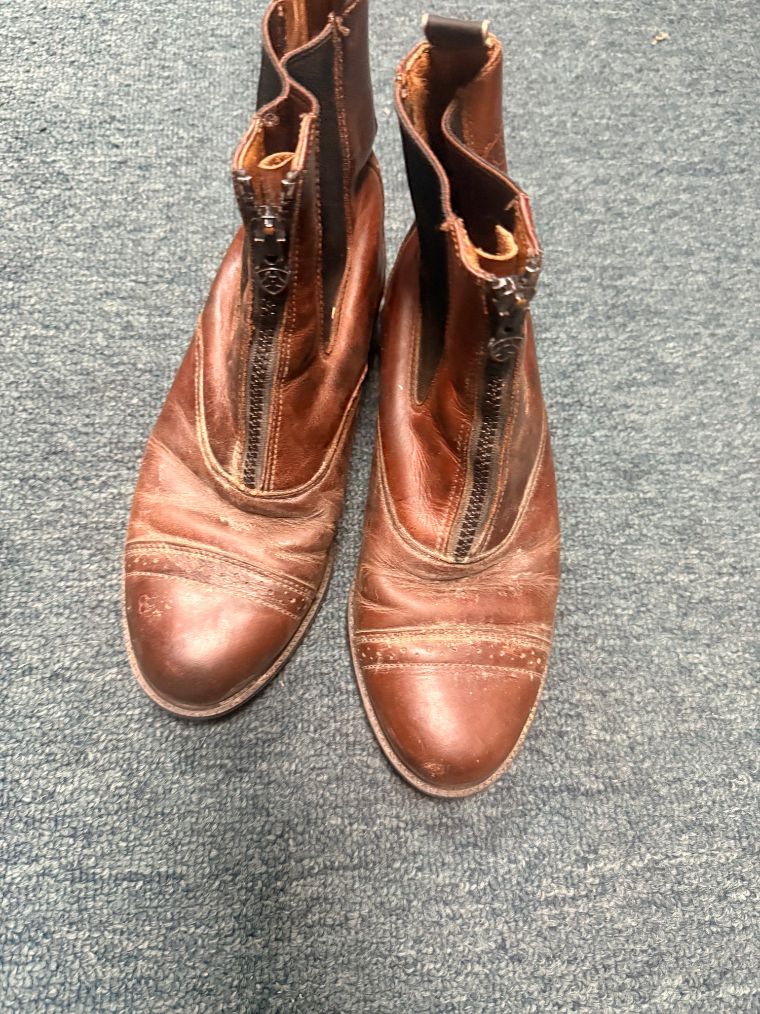 6.5B Women's Ariat Brown Paddock Boots