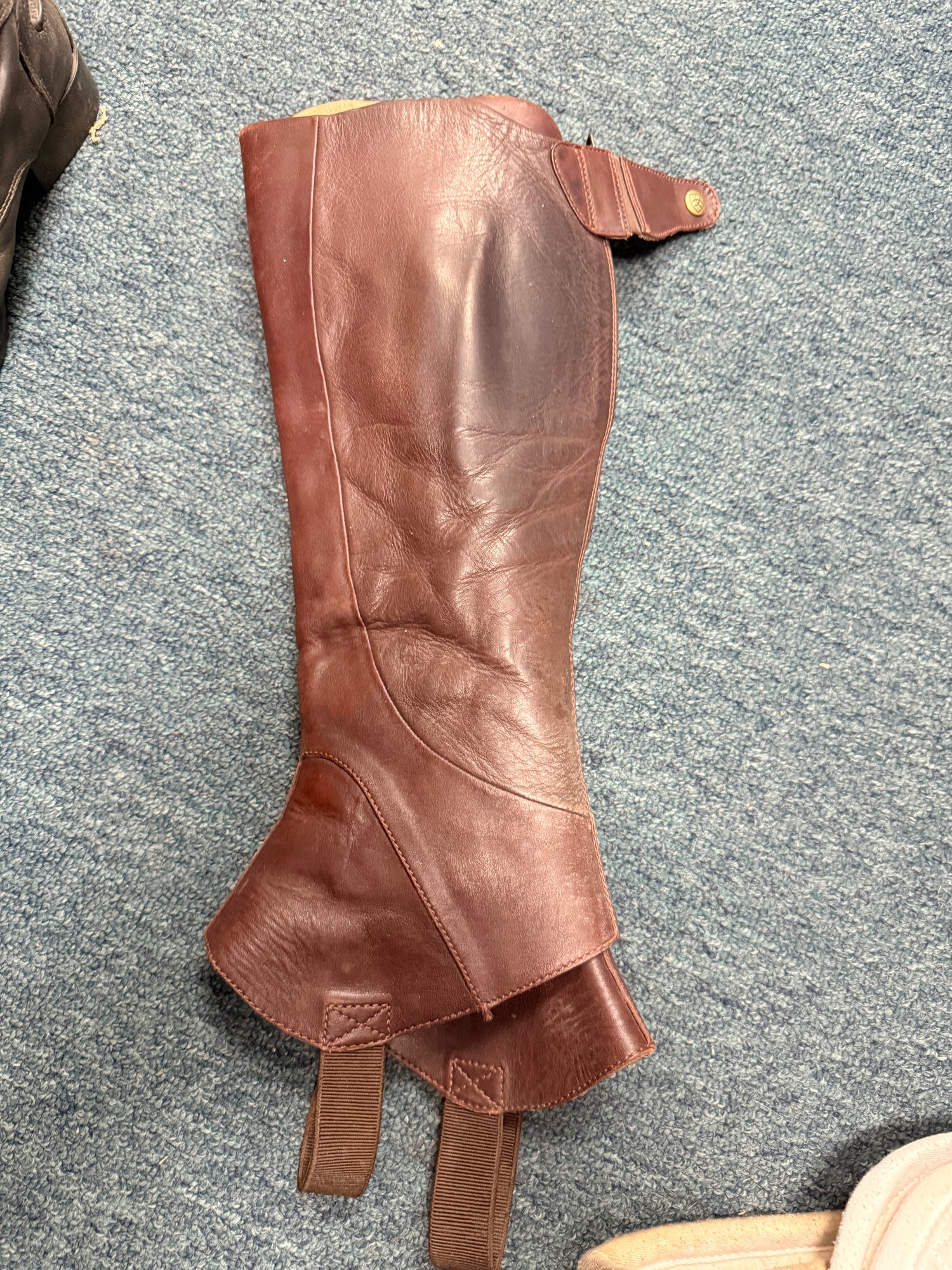 Small Ariat Brown Half Chaps