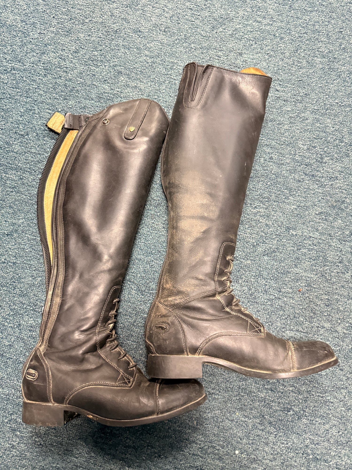 6.5B Women's Ariat Field Boots