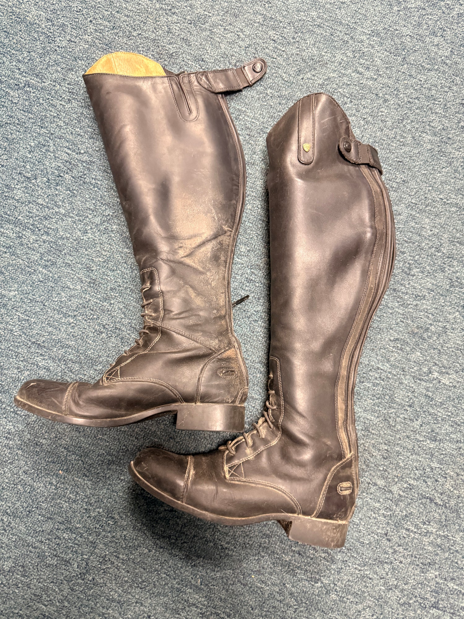 6.5B Women's Ariat Field Boots