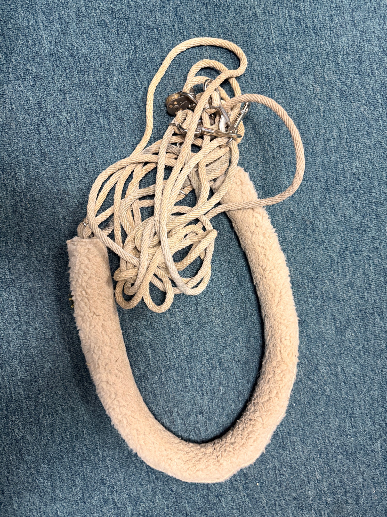Pessoa lunging system