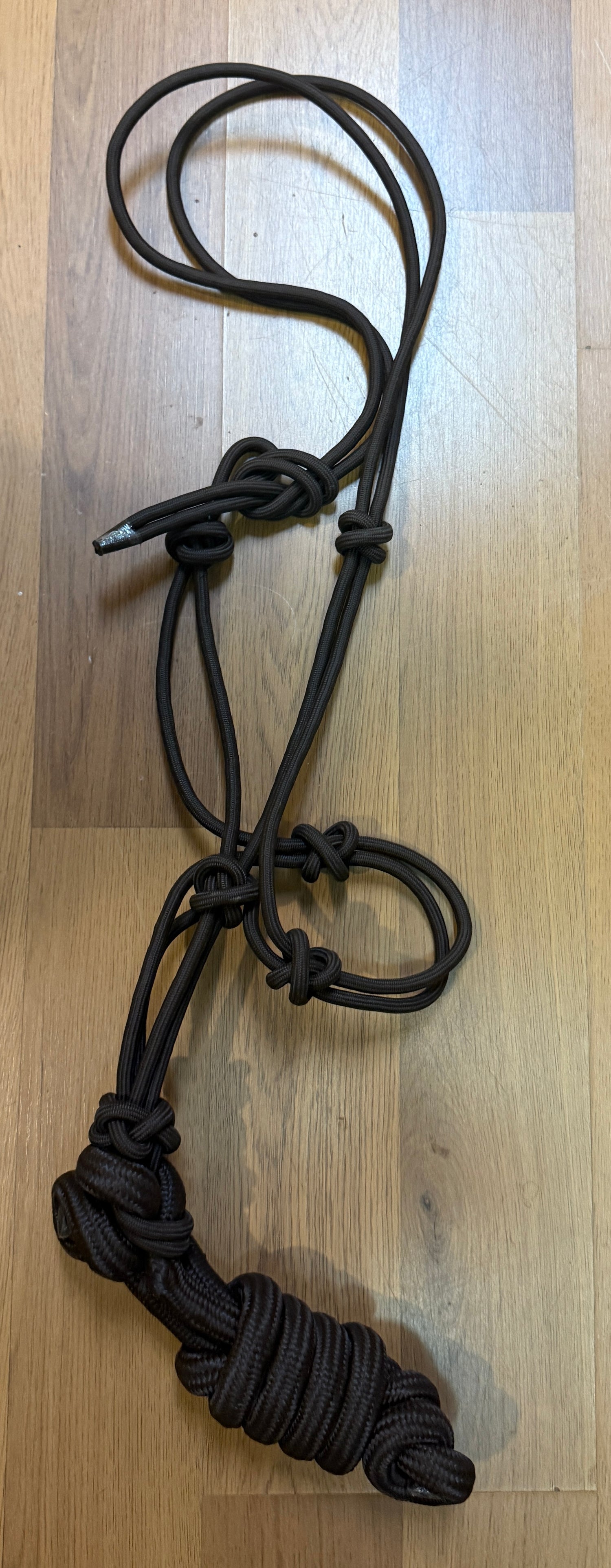 Rope Halter with Lead attached