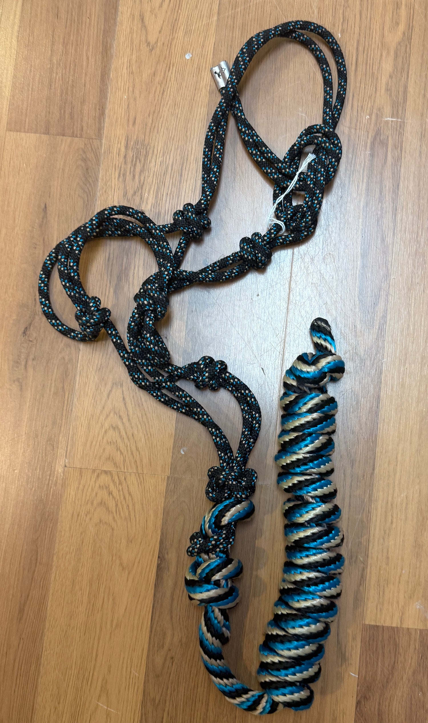 Rope Halter with Lead attached