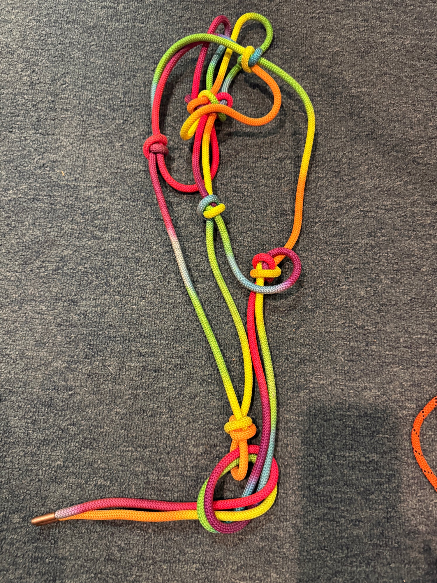 Rope Halters