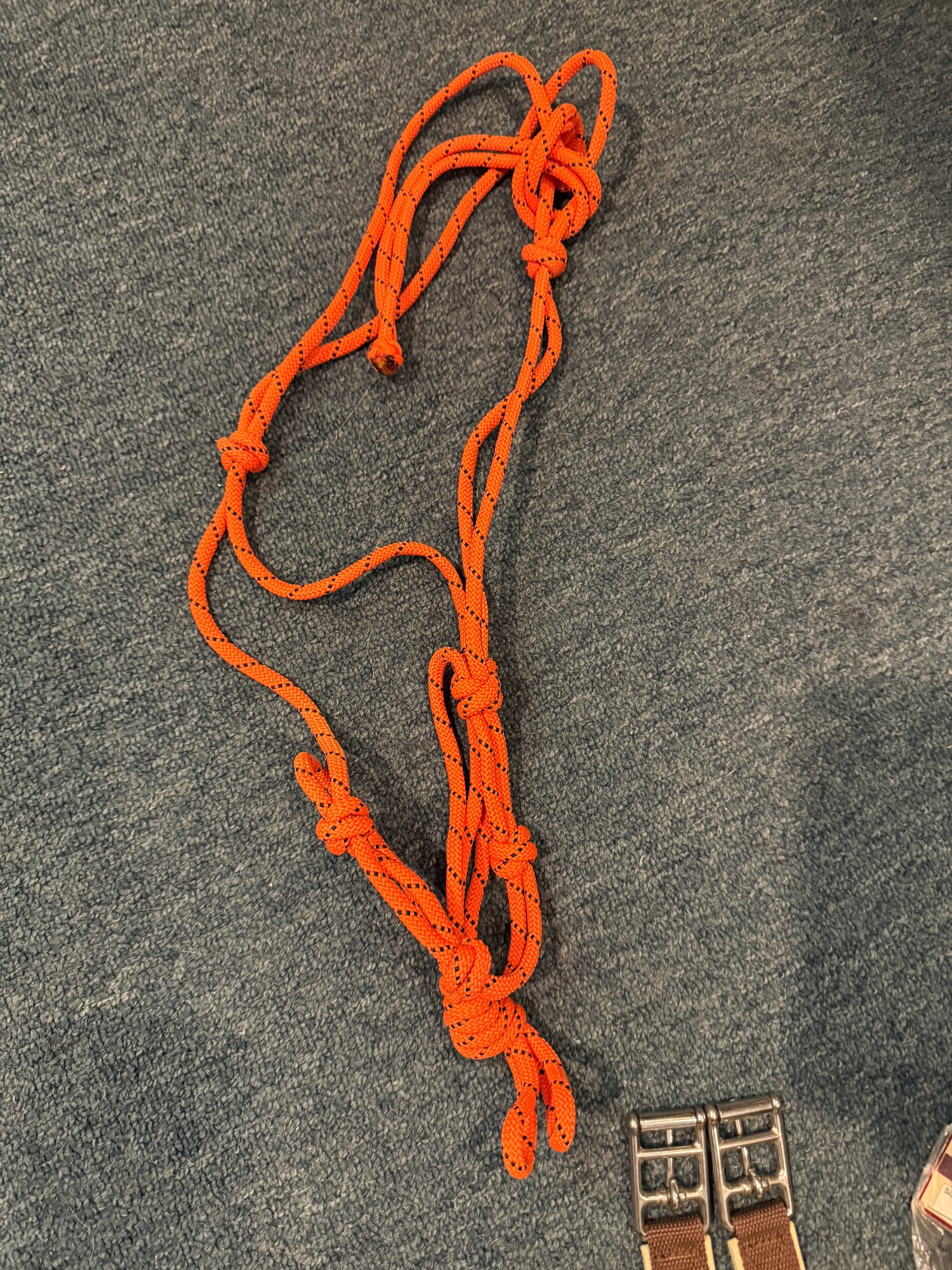 Rope Halters