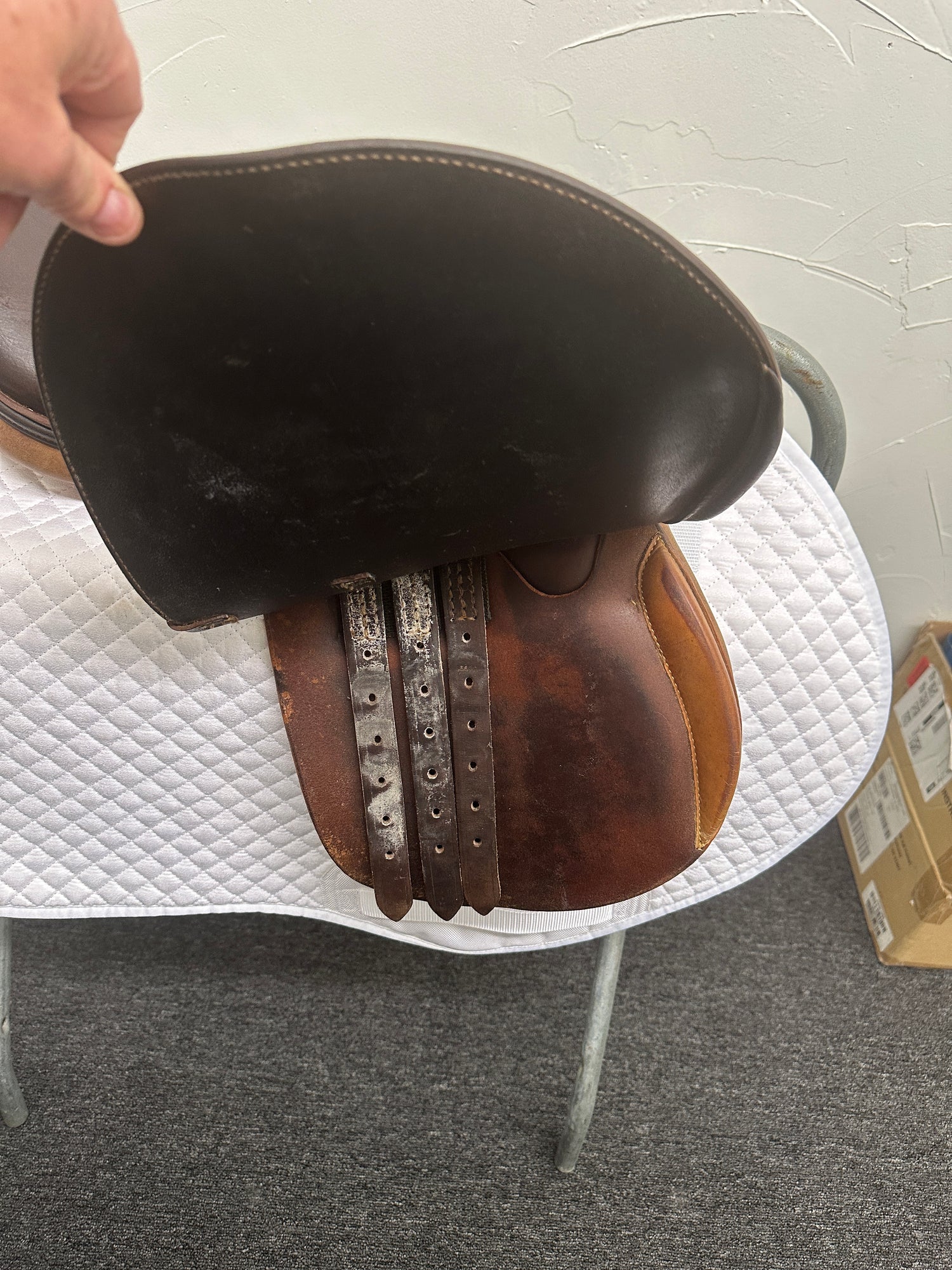 saddle - Collegiate 14.5 Seat