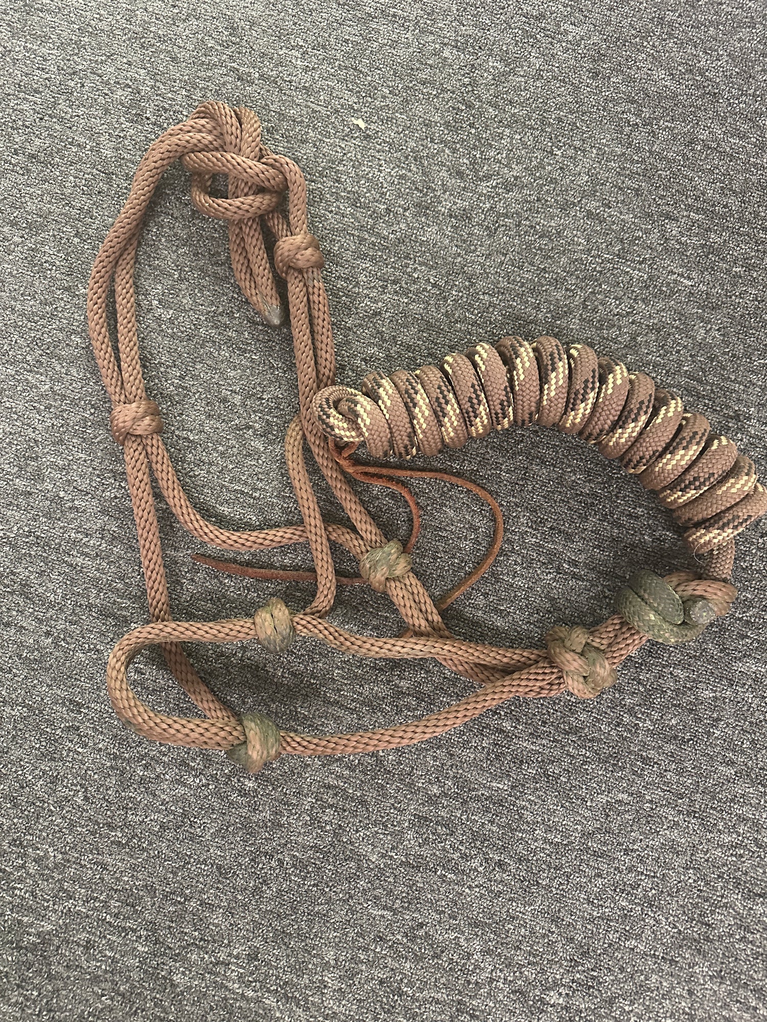 Rope Halter with Lead