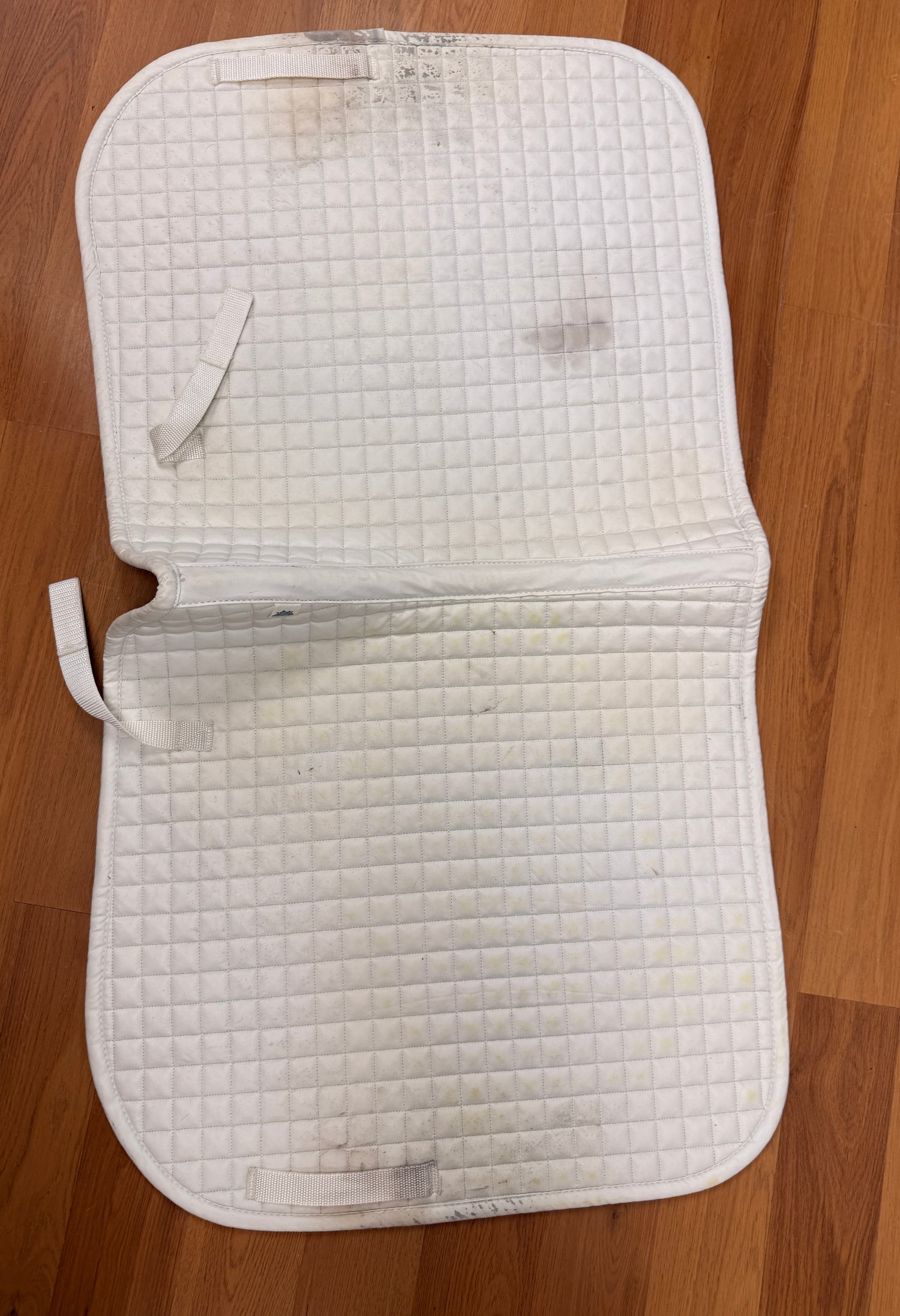 White Dressage Pads