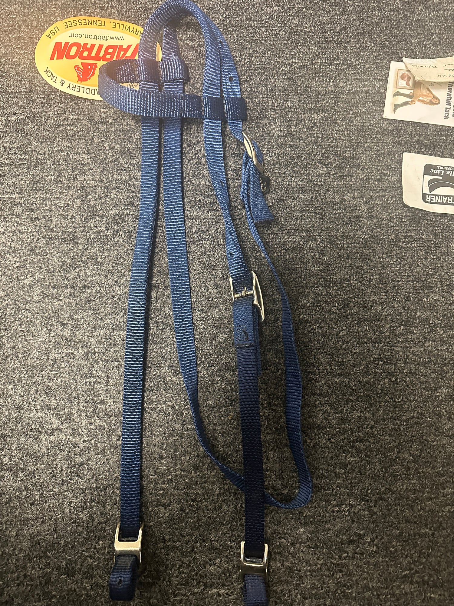 Blue Nylon Western Head stall